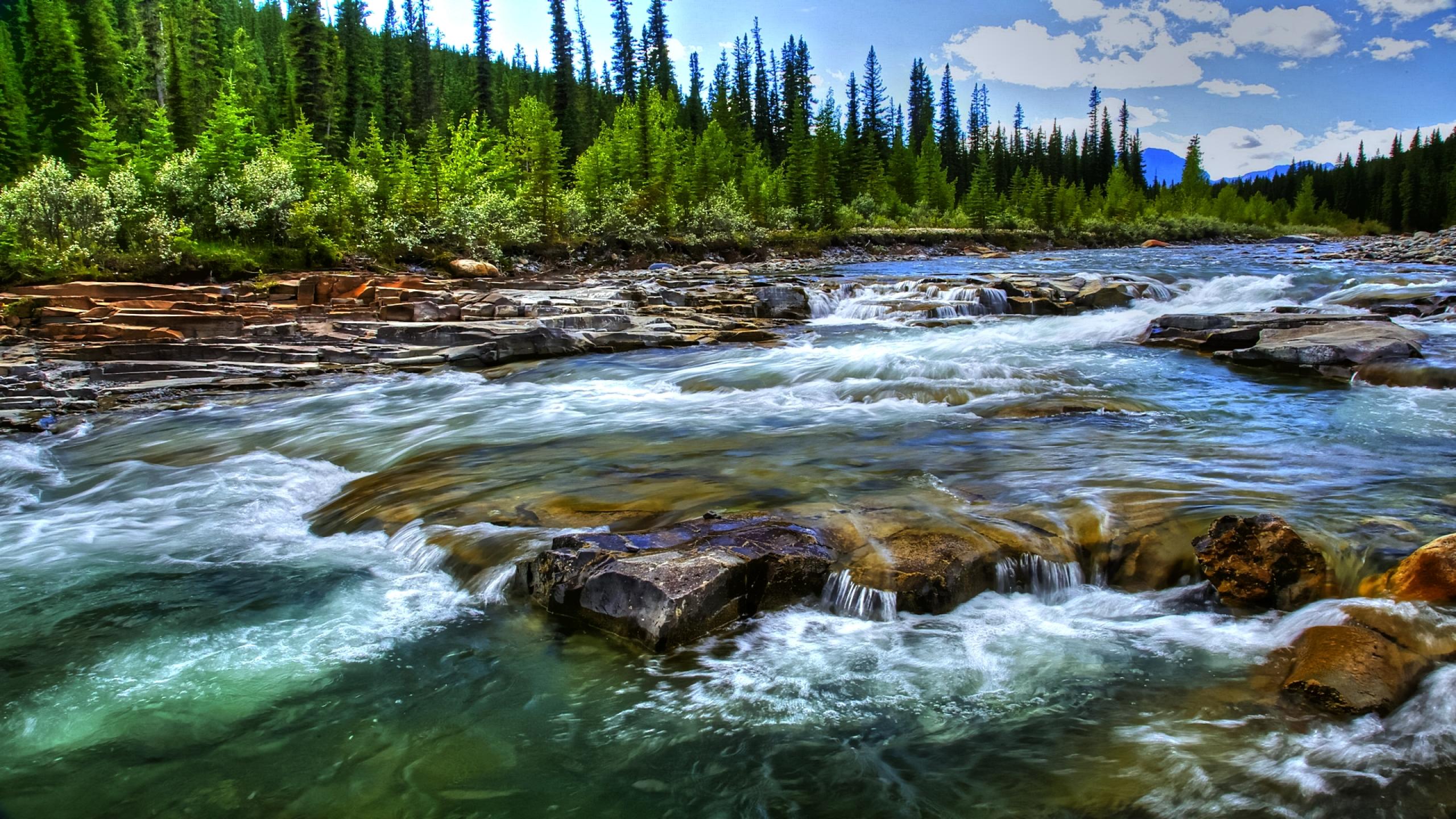 Вся природа и лес и вода. Рубикон река. Ручеек Кольский полуостров. Рубикон река фото. Река Сыня.