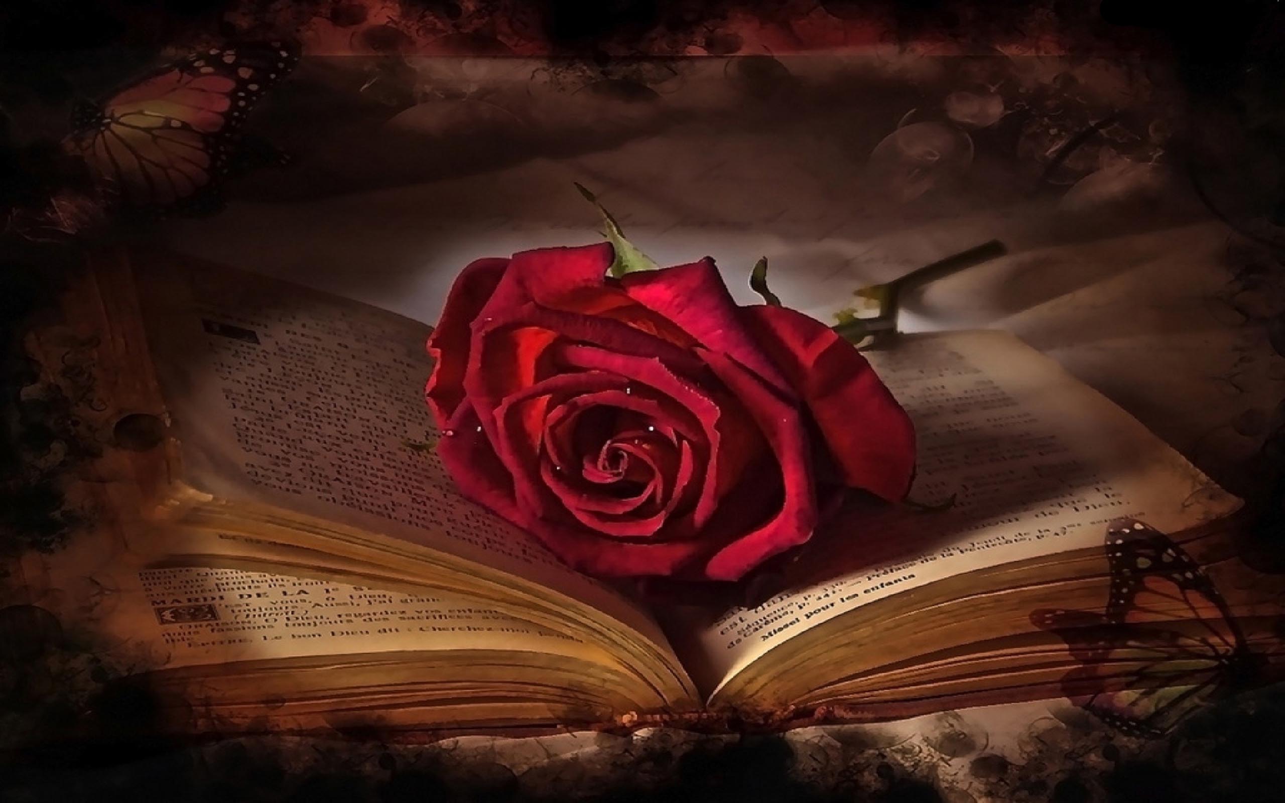 Book And Red Rose Flower Hd Wallpaper : 
