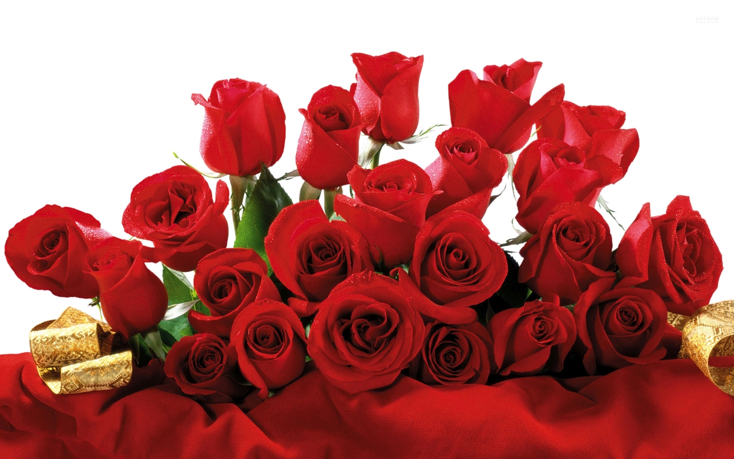 Поздравление с днем рождения женщине коллеге 60. Поздравляем с юбилеем. Шикарные цветы. С днем рождения цветы. Красивые букеты с днём рождения.
