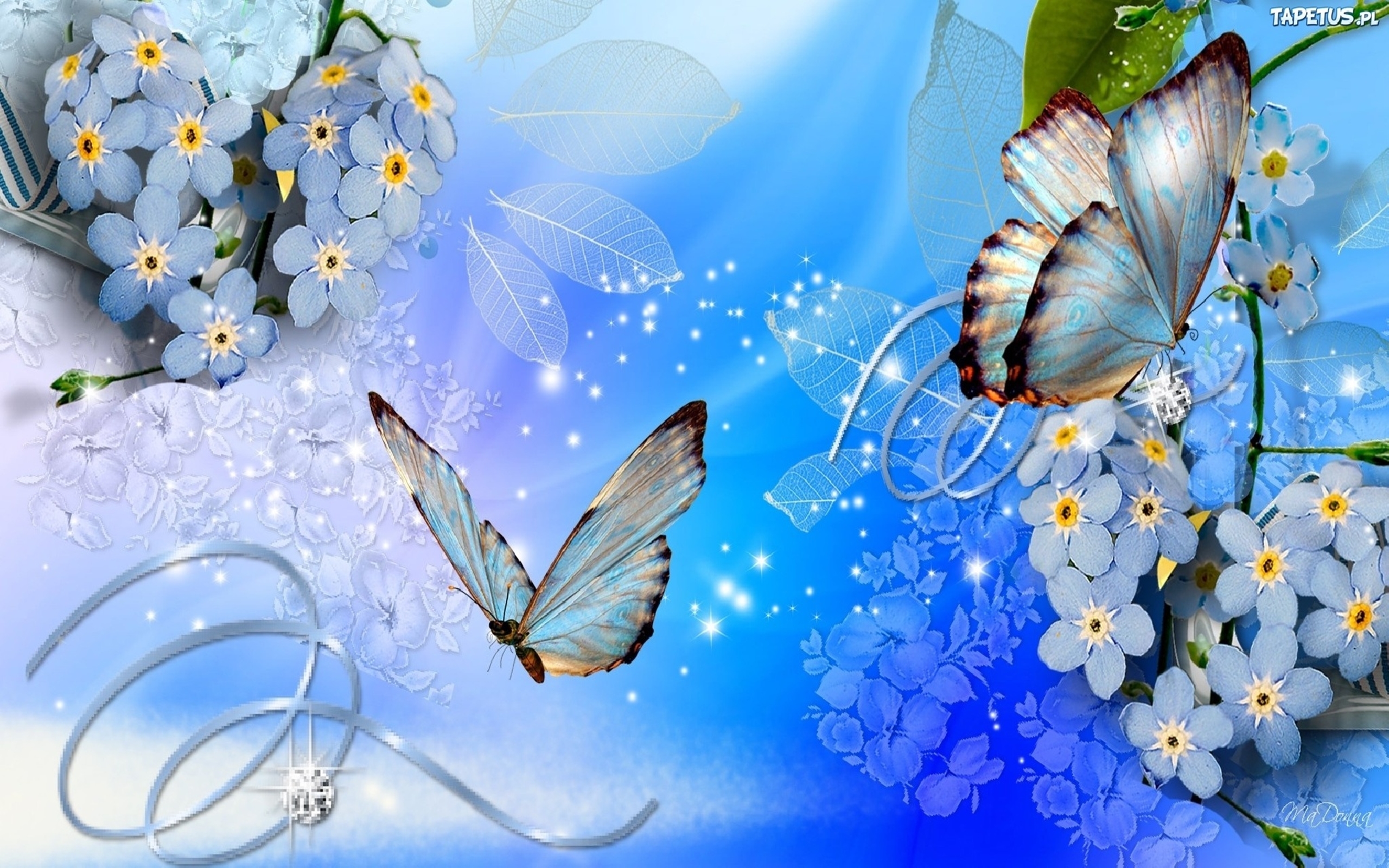 Butterflies And Flowers Background 586 : Wallpapers13.com