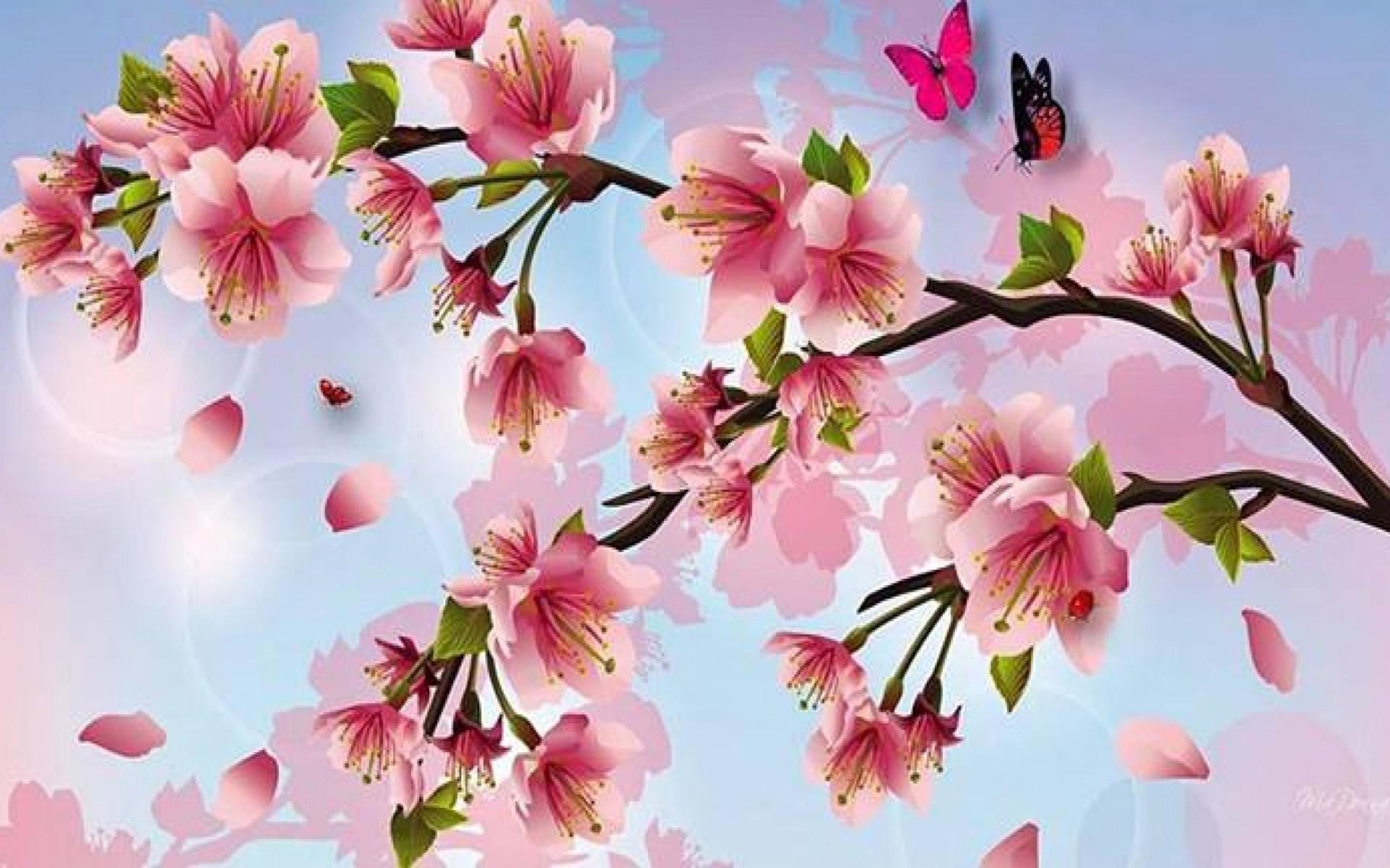 Cherry blossoms painting wallpaper cherry blossom : 