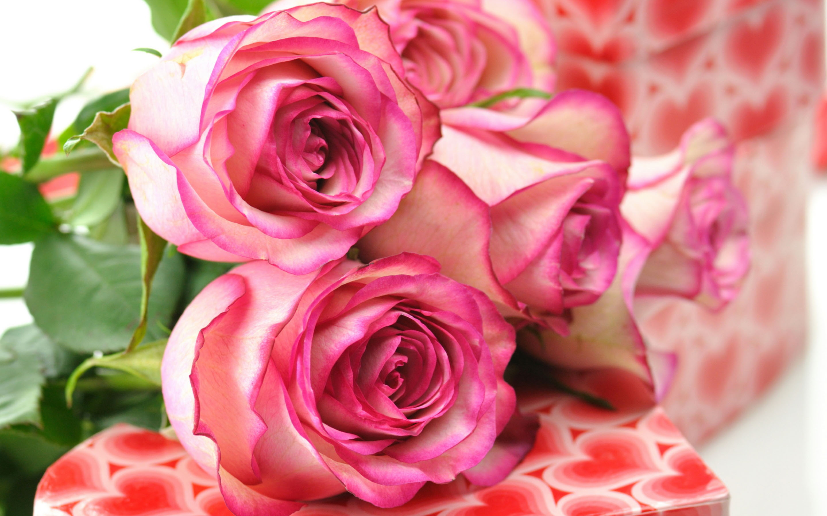 Бесплатные заставки розы на заставку телефона. Красивые цветы. Красивые цветы розы. Розы обои. Розовые цветы.