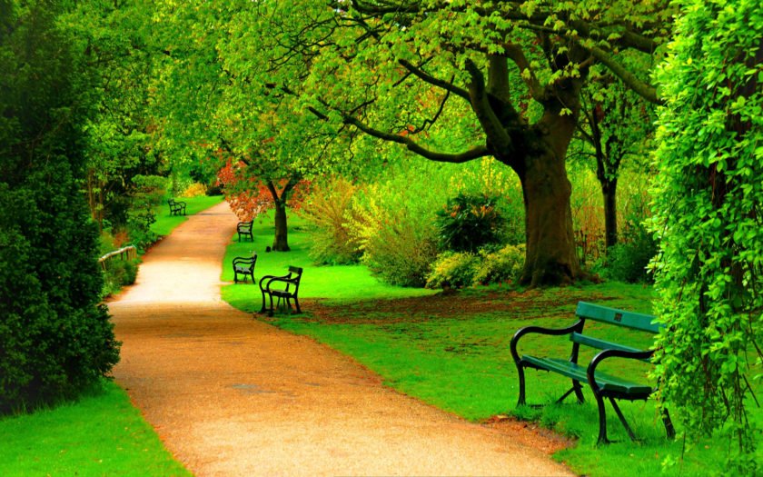Green Park Trees Nature Beautiful Day Hd Wallpaper 1871 : Green Park Trees Nature Beautiful Day Hd Wallpaper 1871 :