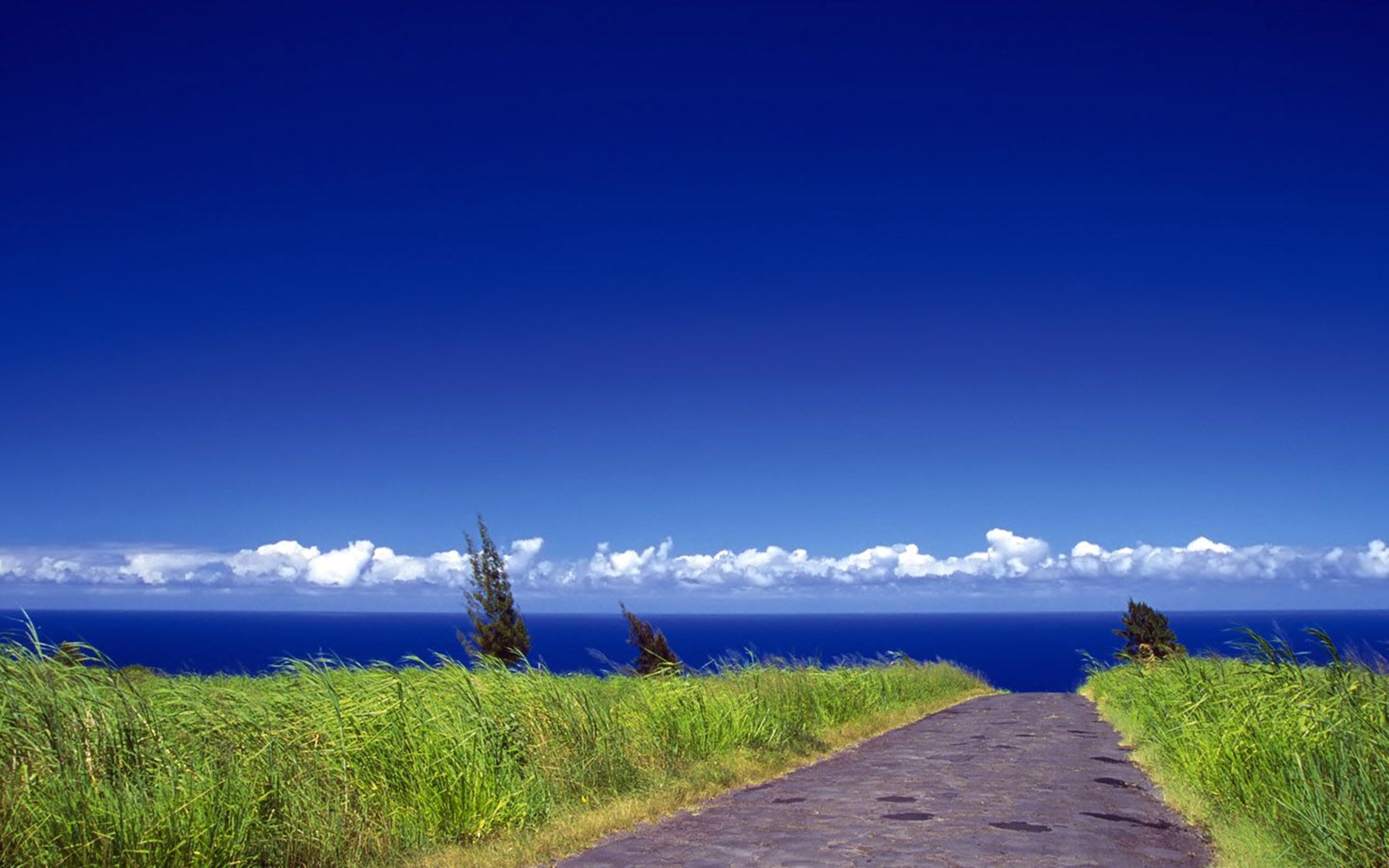 Highway, Grass, Sea, Sky Hd Wallpaper : 