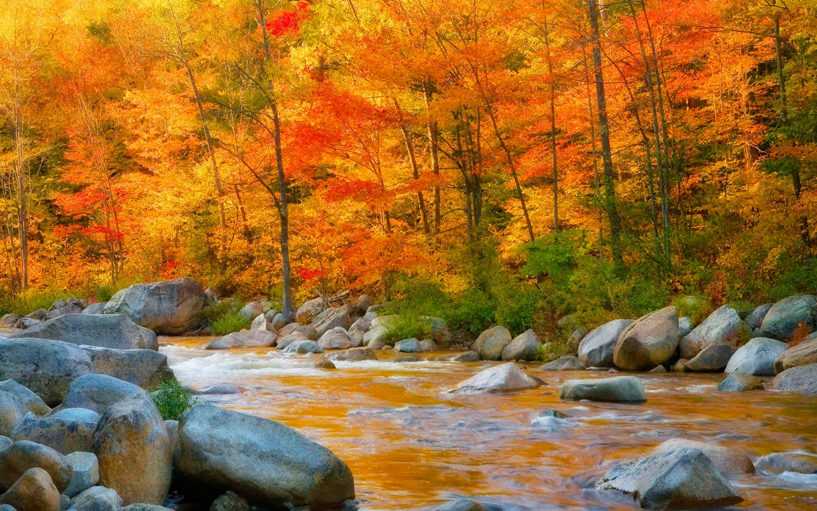 Hd Wallpapers 1080p Nature Autumn