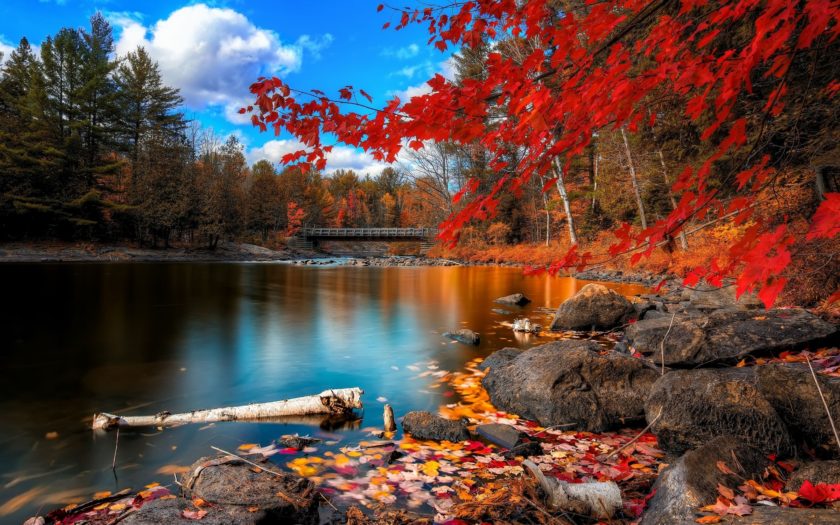 Nature Wallpapers Desktop Beautiful Widscreen Autumn Hd Wallpaper :  