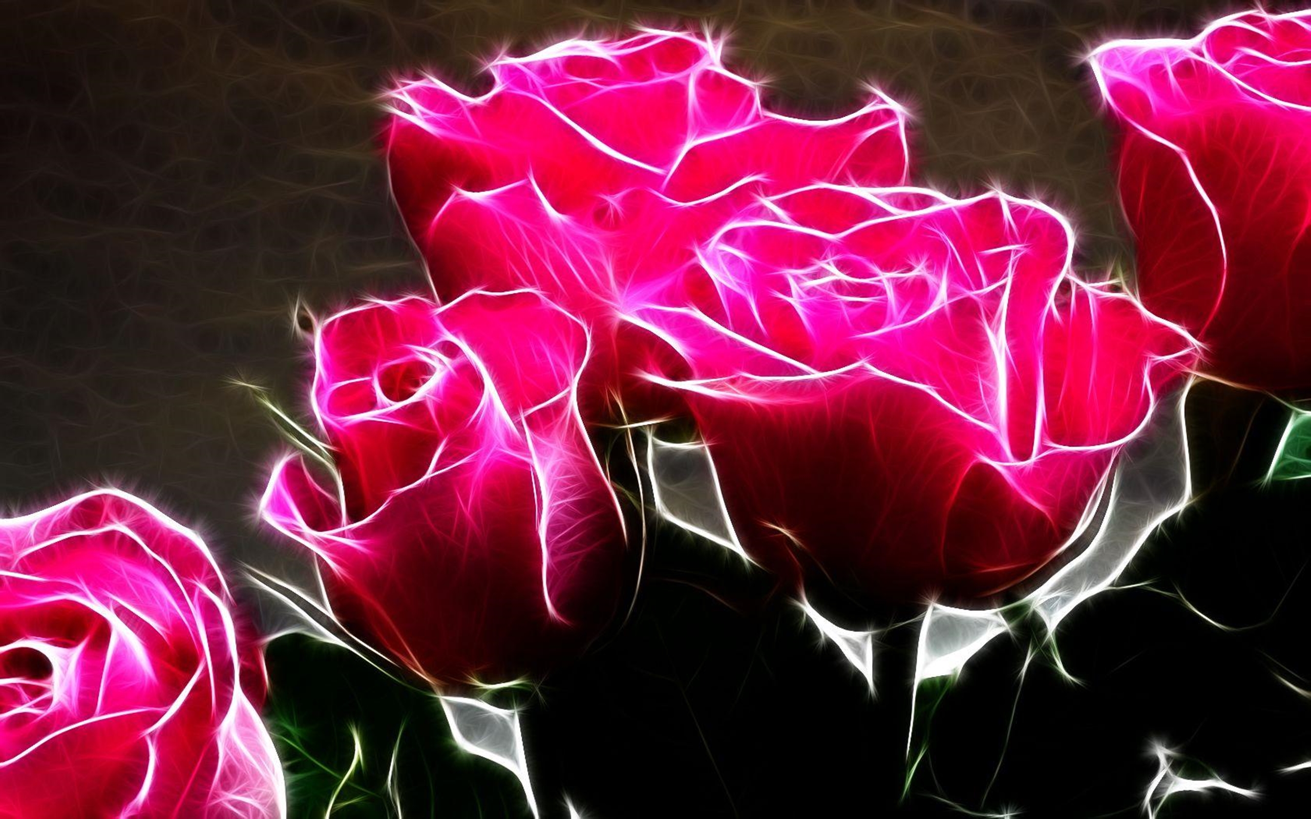 Бесплатные заставки розы на заставку телефона. Неон Роуз цветы. Красивые живые цветы. Красивые розы. Шикарные живые розы.