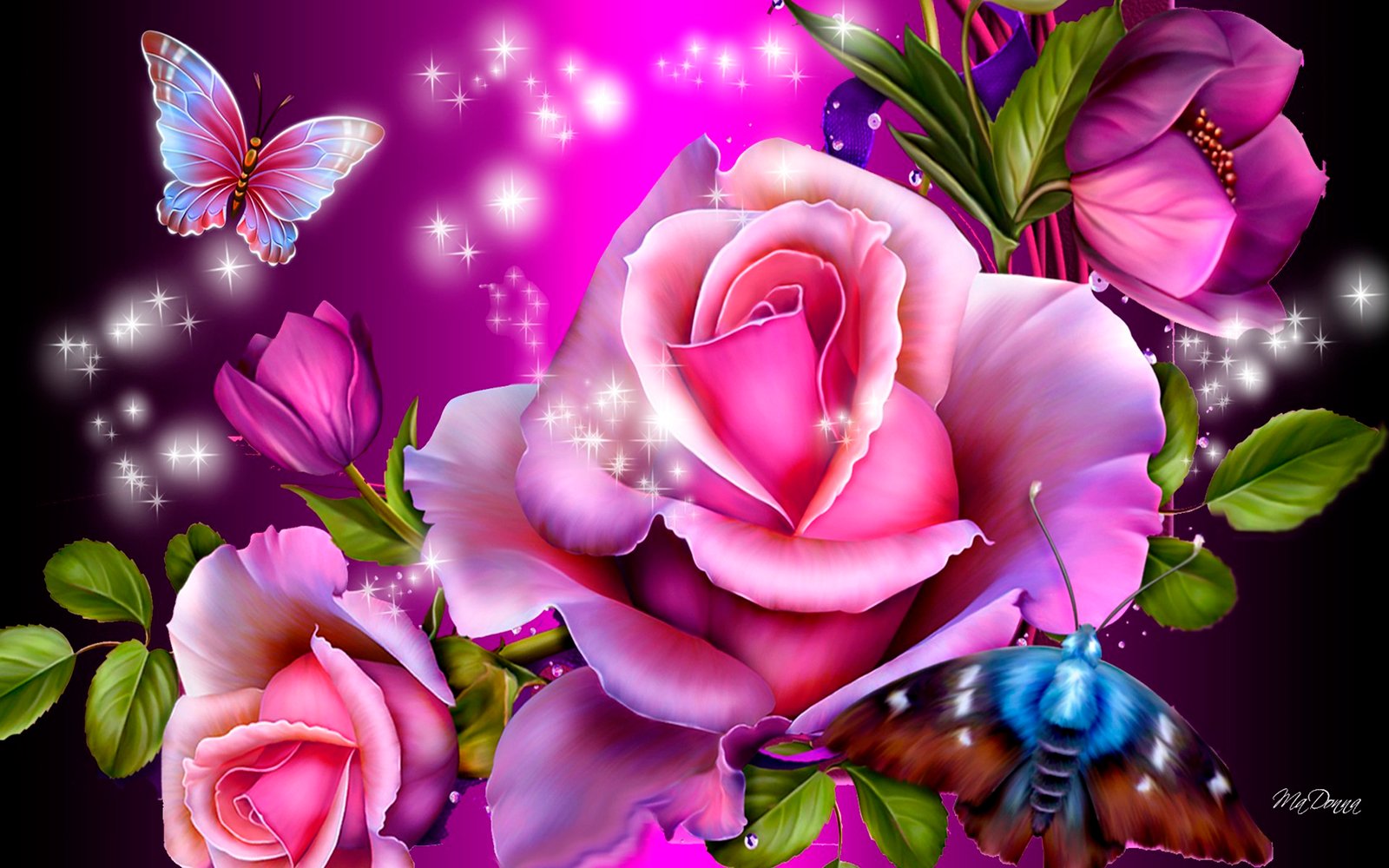 Pink Roses With Butterflies Hd Wallpaper Gbkt2nw : Pink Roses With Butterflies Hd Wallpaper Gbkt2nw :