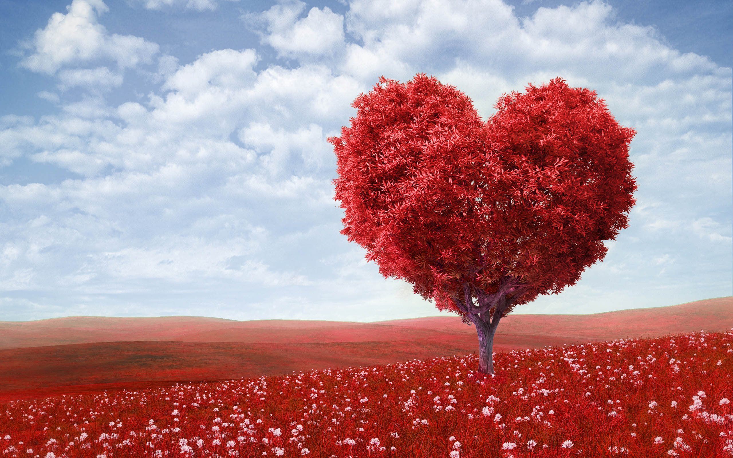 Red Tree Love Natural Wallpaper Hd Desktop Mobile 75634 : 