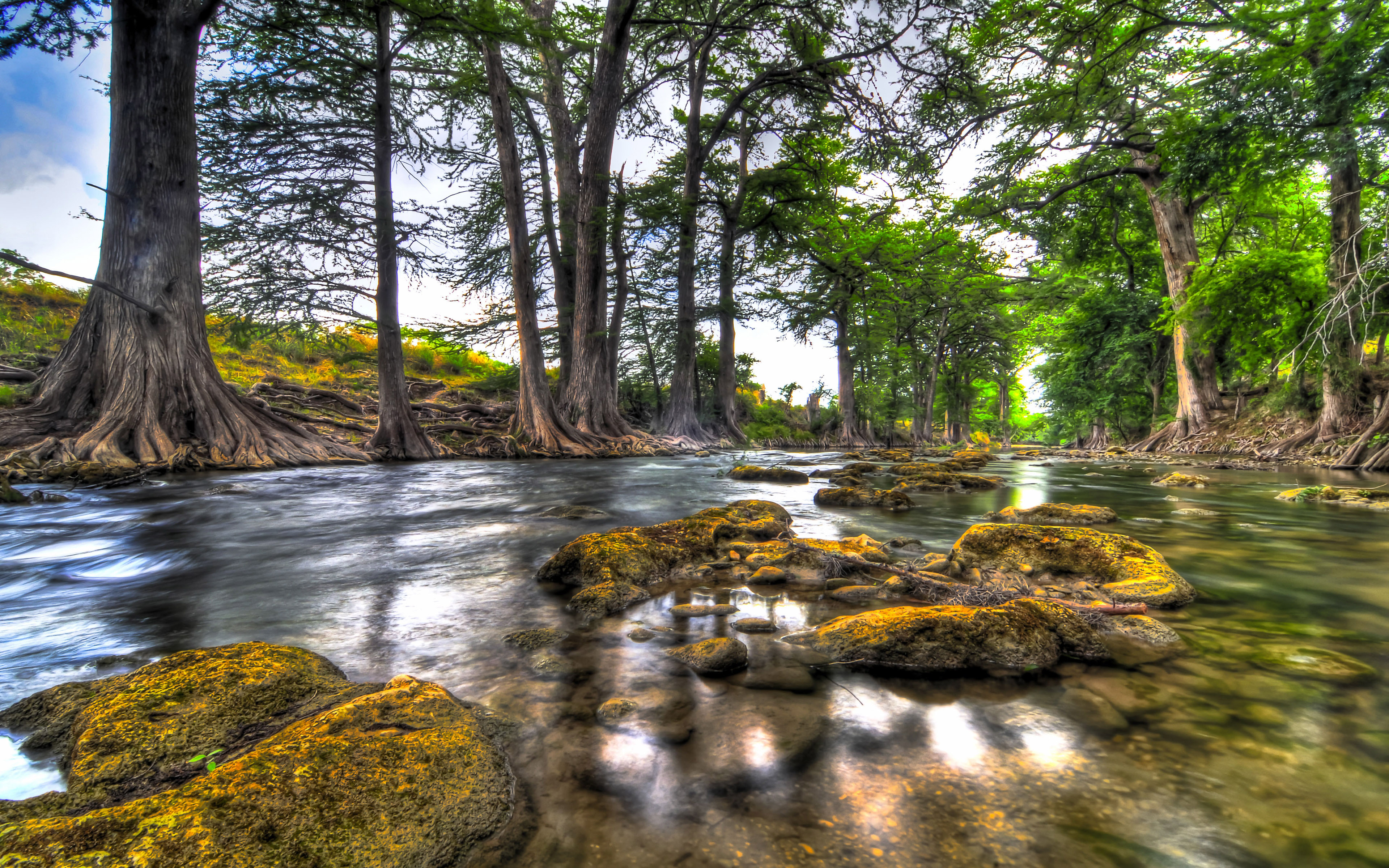 River Water Stones Forest Trees Rock Reflection Desktop Hd Wallpapers