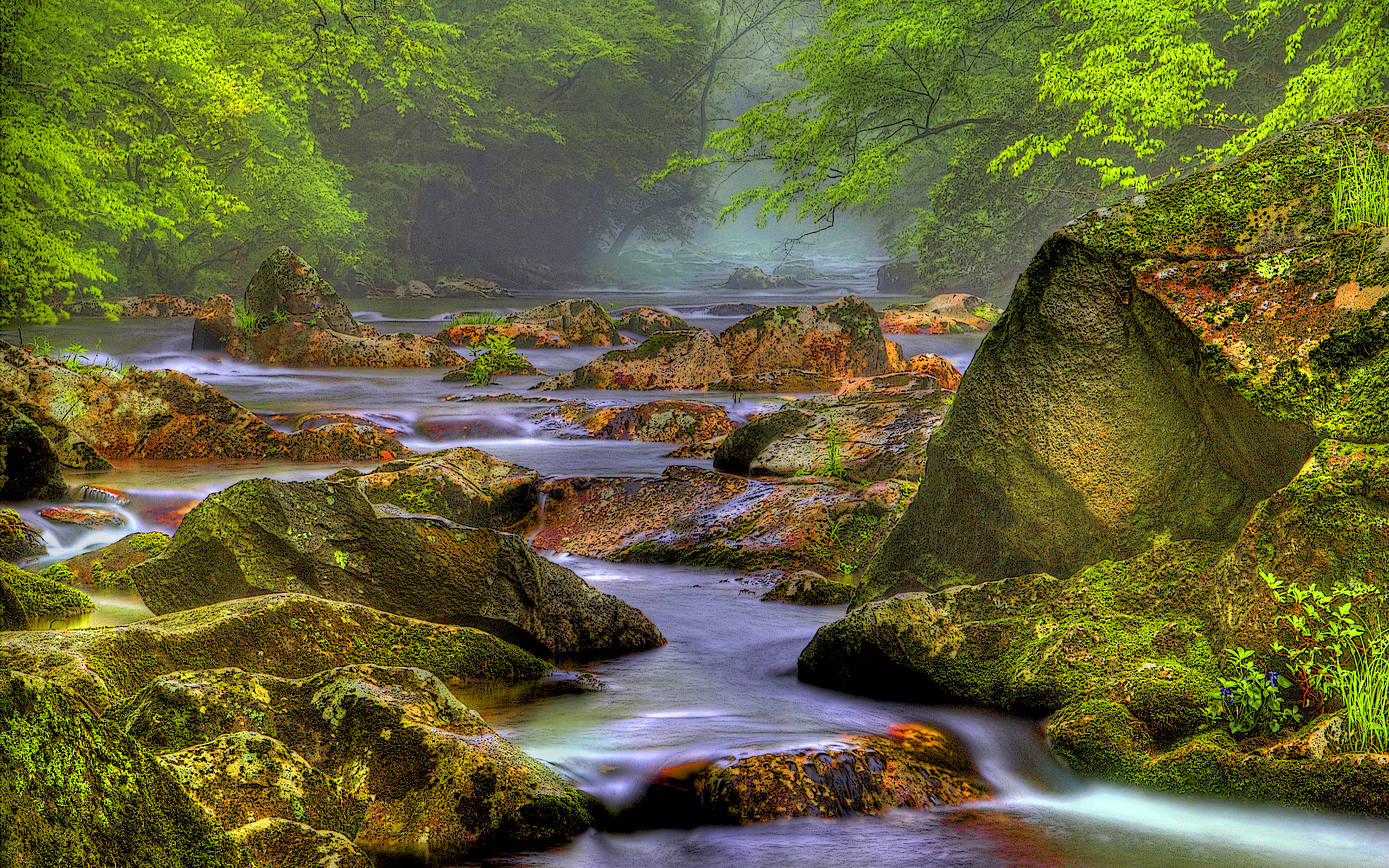 Rocky River In A Forest Hdr Hd Desktop Background Hd Wallpapers