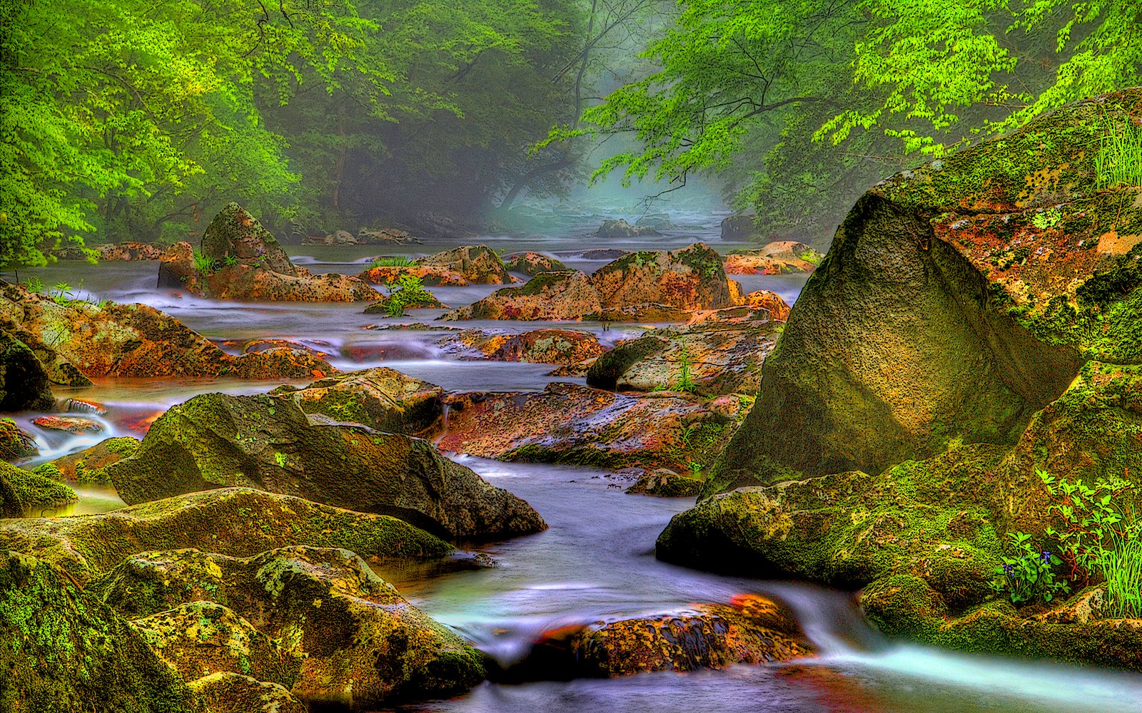 Rocky River In A Forest Hdr Hd Desktop Background Hd Wallpapers