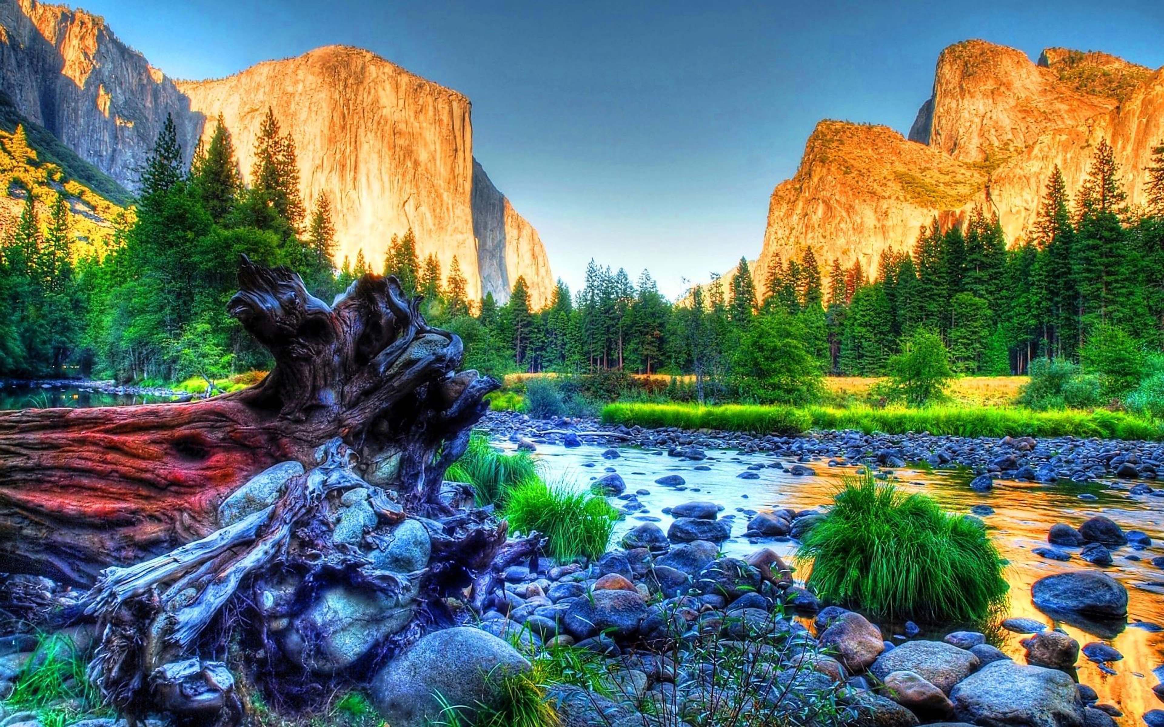 Ультра хорошее качество. Йосемитский национальный парк. Йосемити каменный лес. Река Мерсед, Йосемити, США.. Красивая природа.