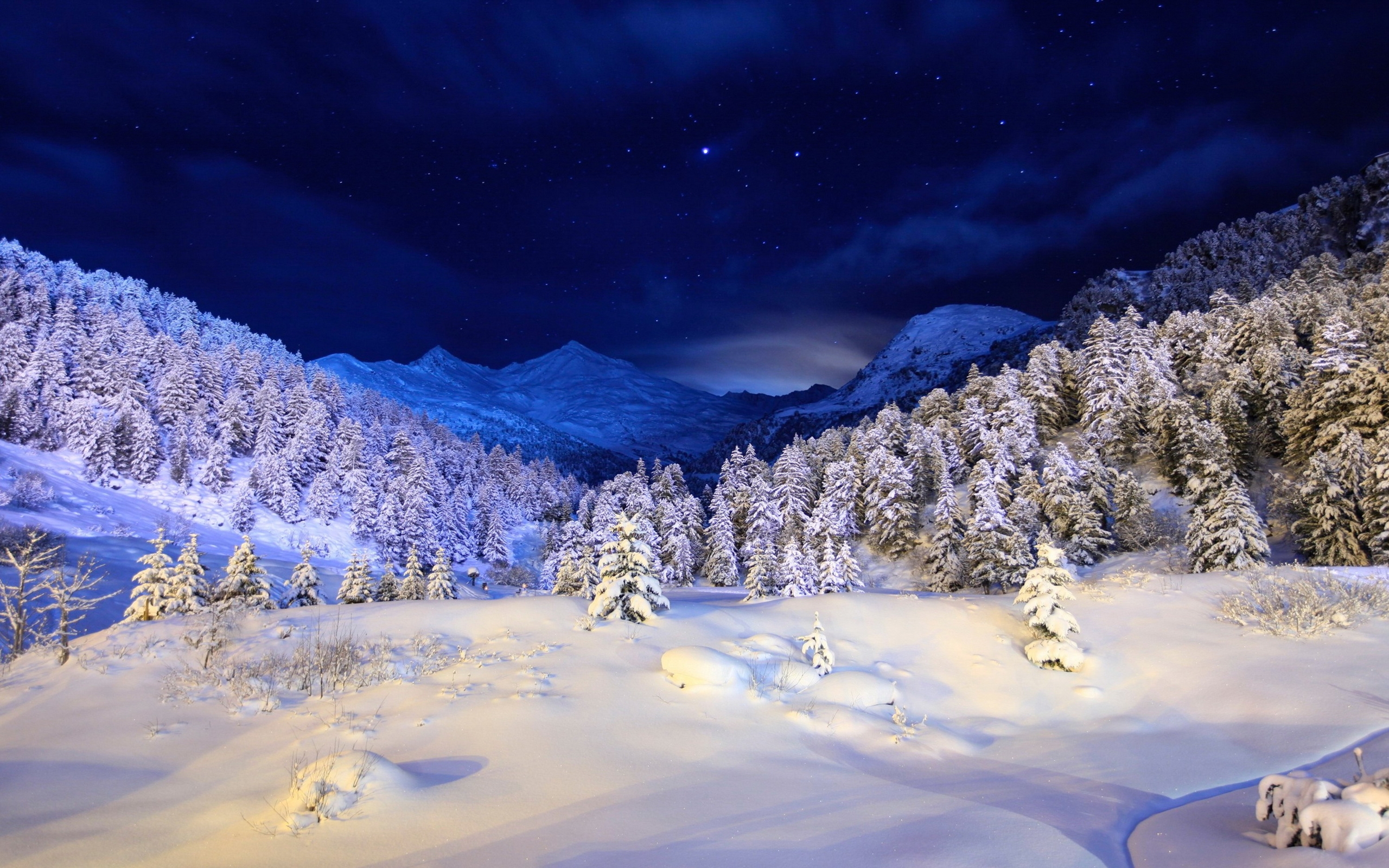 Wallpapers Seasons Winter Sky Forests Snow Night Trees Nature :  