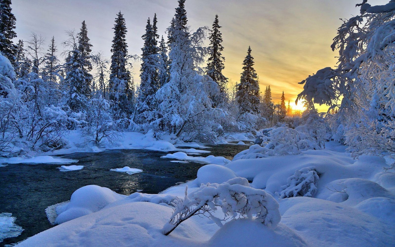 Вид зимы. Зимний пейзаж. Зимняя природа. Зимний лес. Красивый зимний лес.