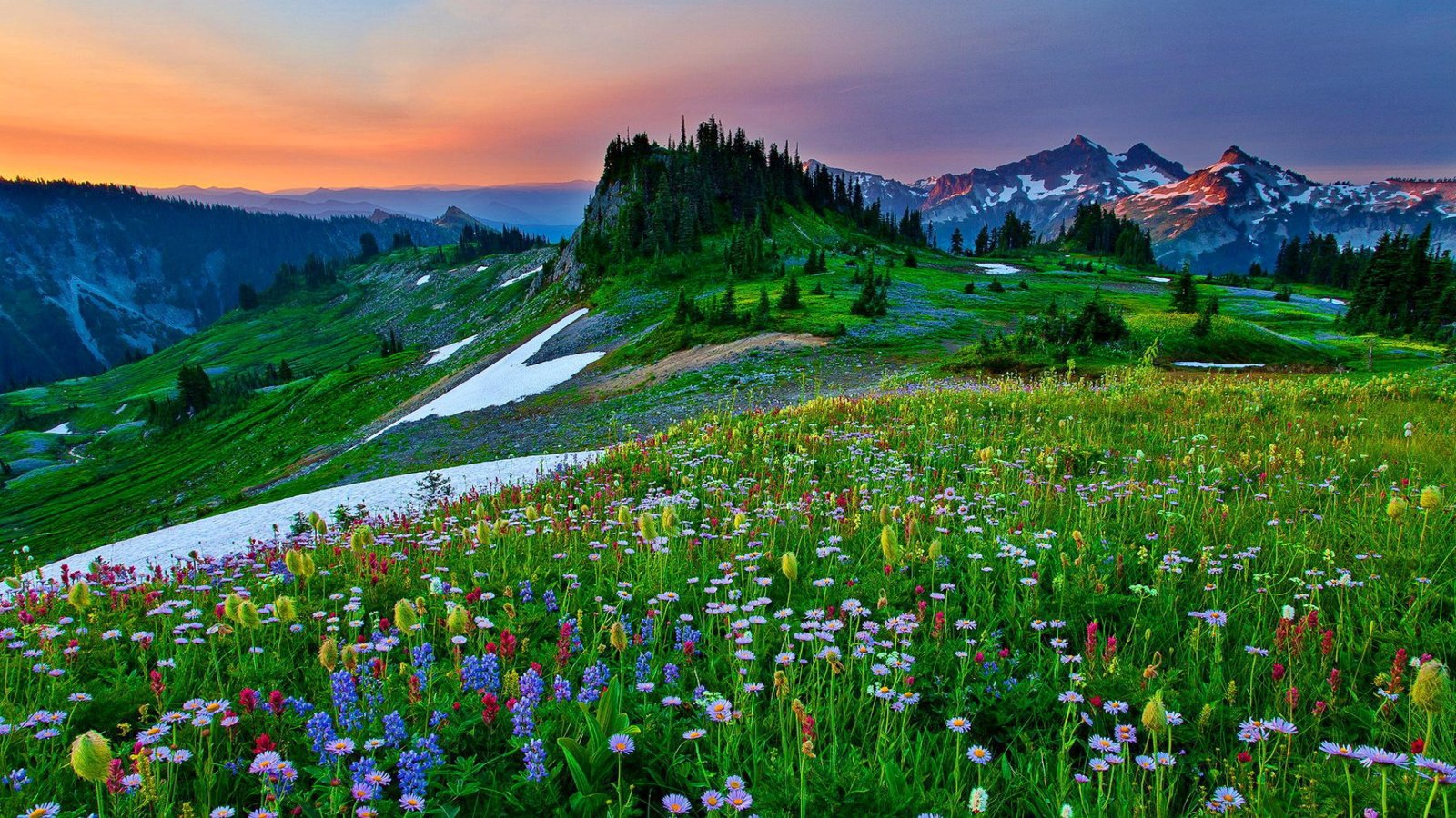 Field Of Mountain Flowers Sky Grass Lovely Ultra 3840x2160 Hd Wallpaper