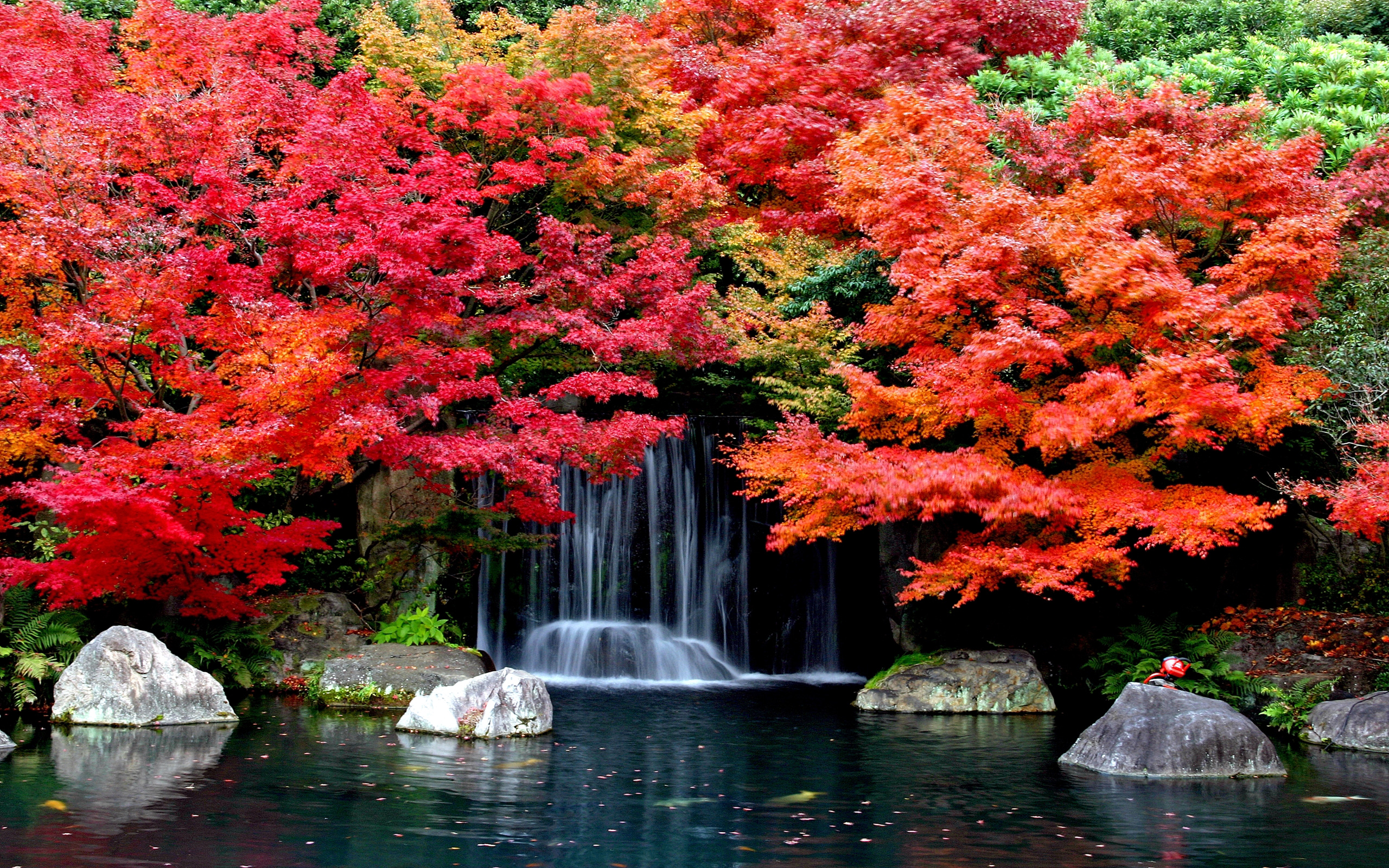 Autumn Falls Desktop Background Hd Wallpapers 1629361 2560x1600 Autumn ...