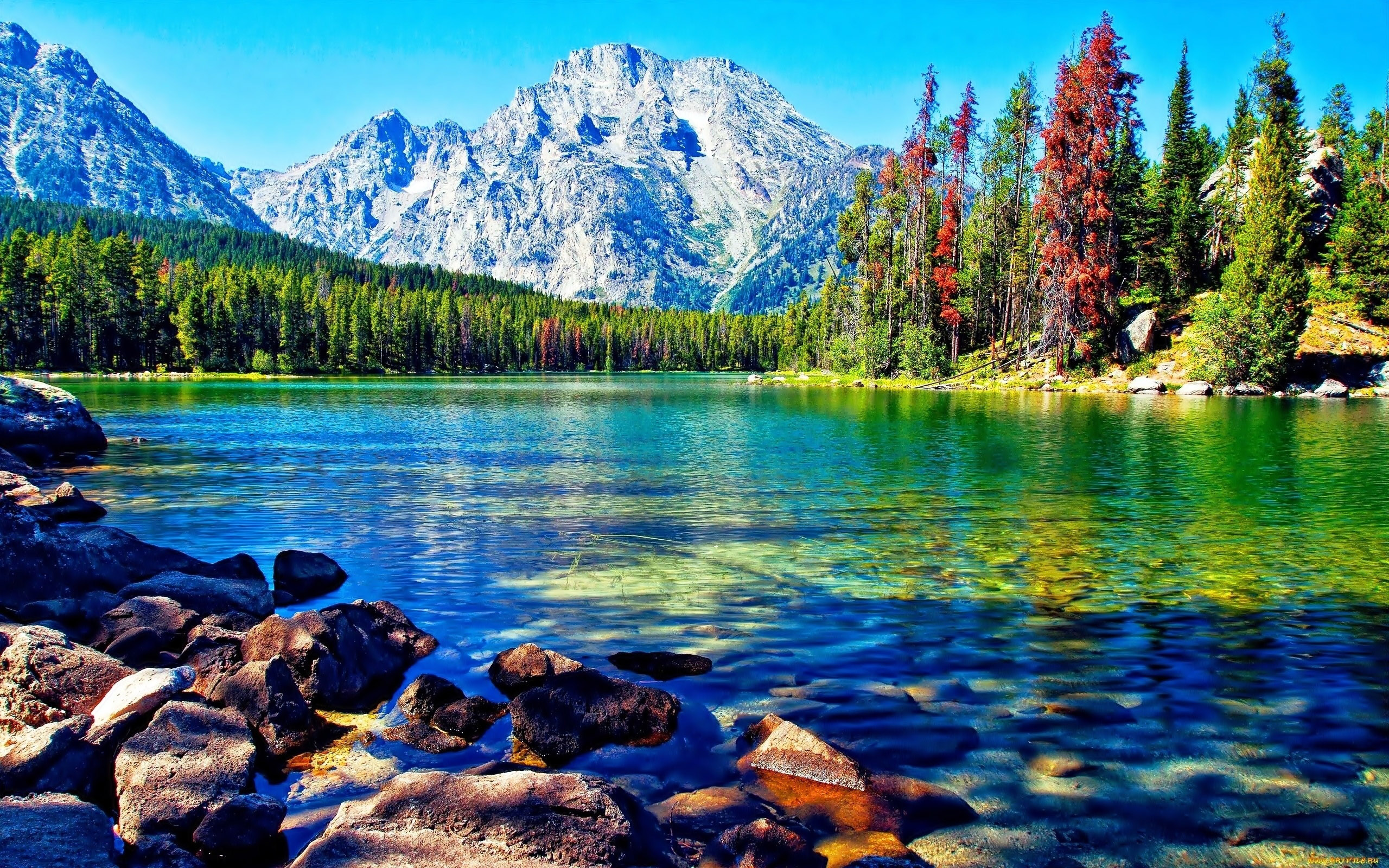 Beautiful Lake Mountain Forest Desktop Wallpapers : Wallpapers13.com