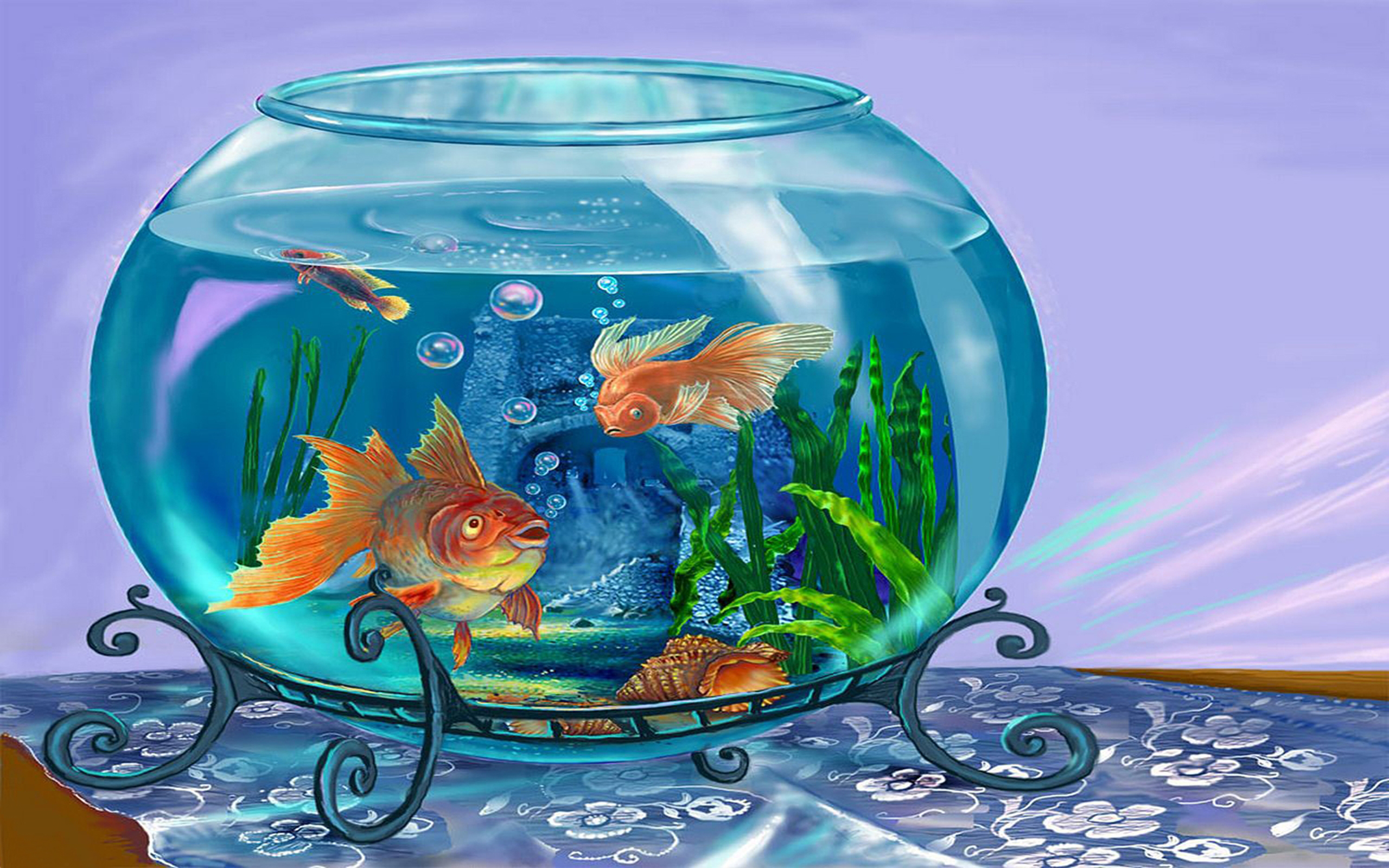 Увидел рыбок в аквариуме. Аквариум. Рыбы в аквариуме. Круглый аквариум с рыбками. Аквариум с рыбками для детей.