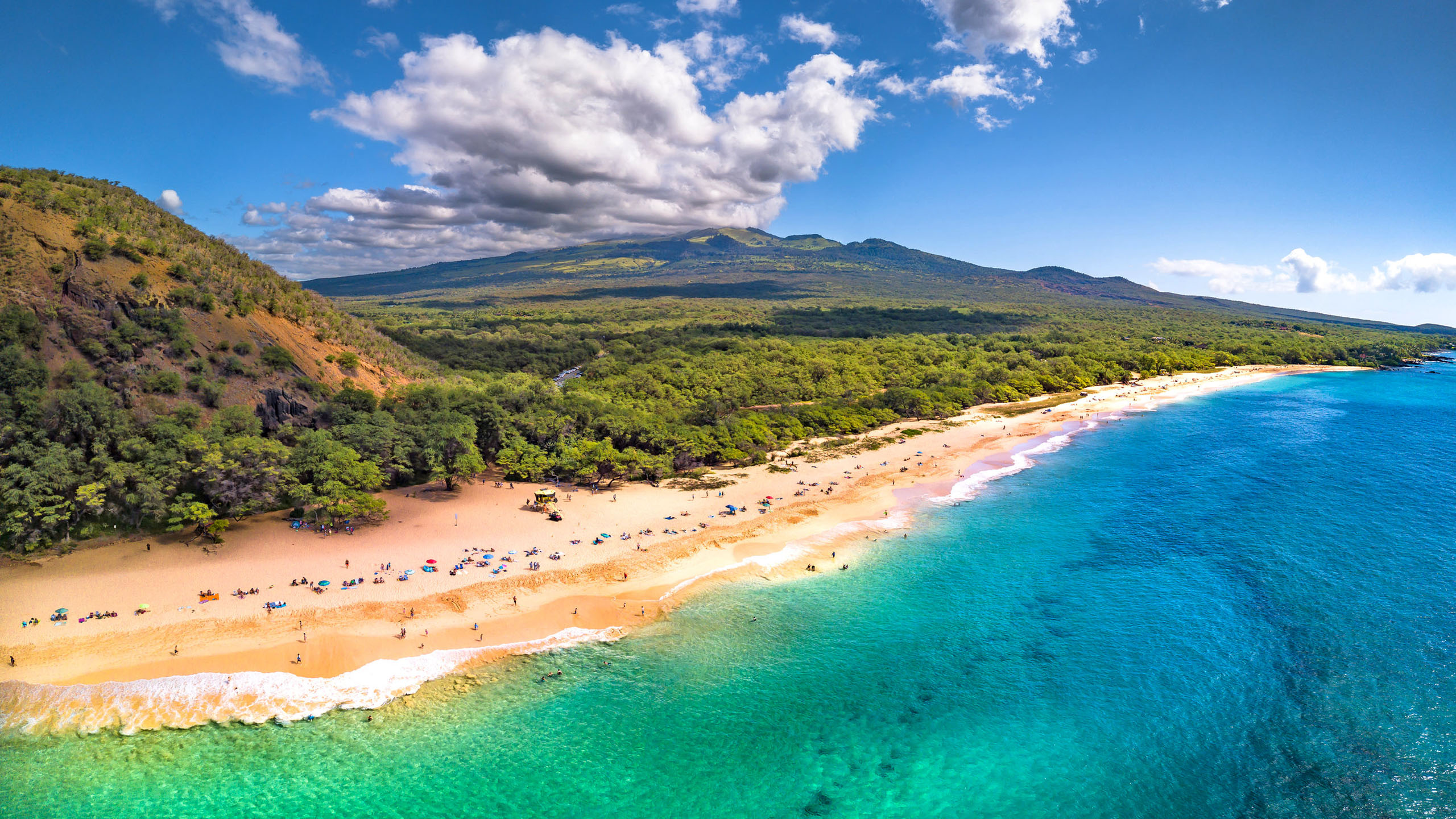 500 Maui Pictures  Download Free Images on Unsplash