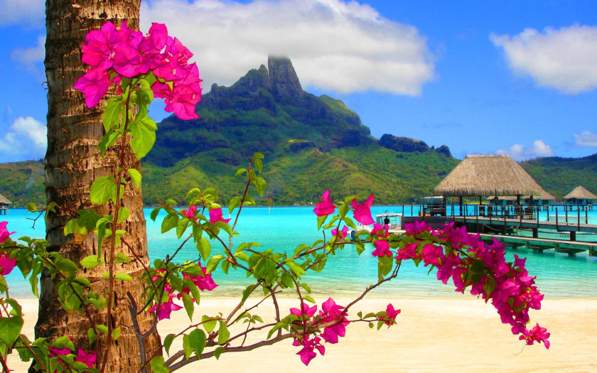 Bora Bora Beautiful Tropical Resort With Sandy Beaches Turquoise Sea ...