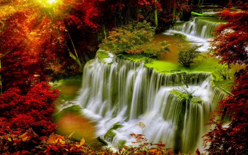 Cascade Falls-Autumn-forest-red leaves-sunlight-Desktop HD Wallpaper ...