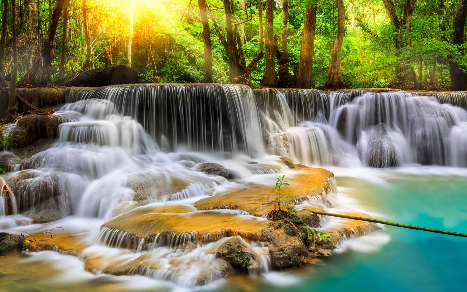 Cascade waterfall with exotic tropical vegetation green trees, sparkling water-rock