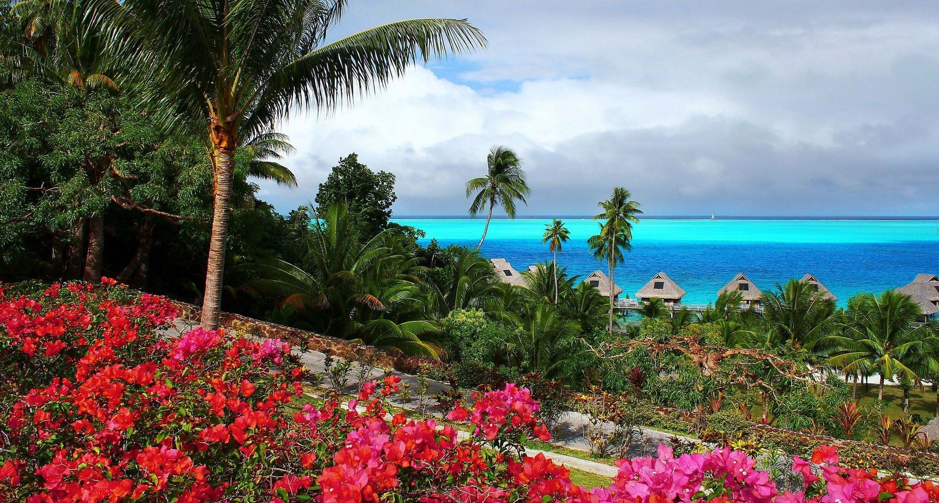 Paradise. Парадиз остров Карибского моря. Природа Райский уголок. Райская природа. Самые красивые тропические острова.