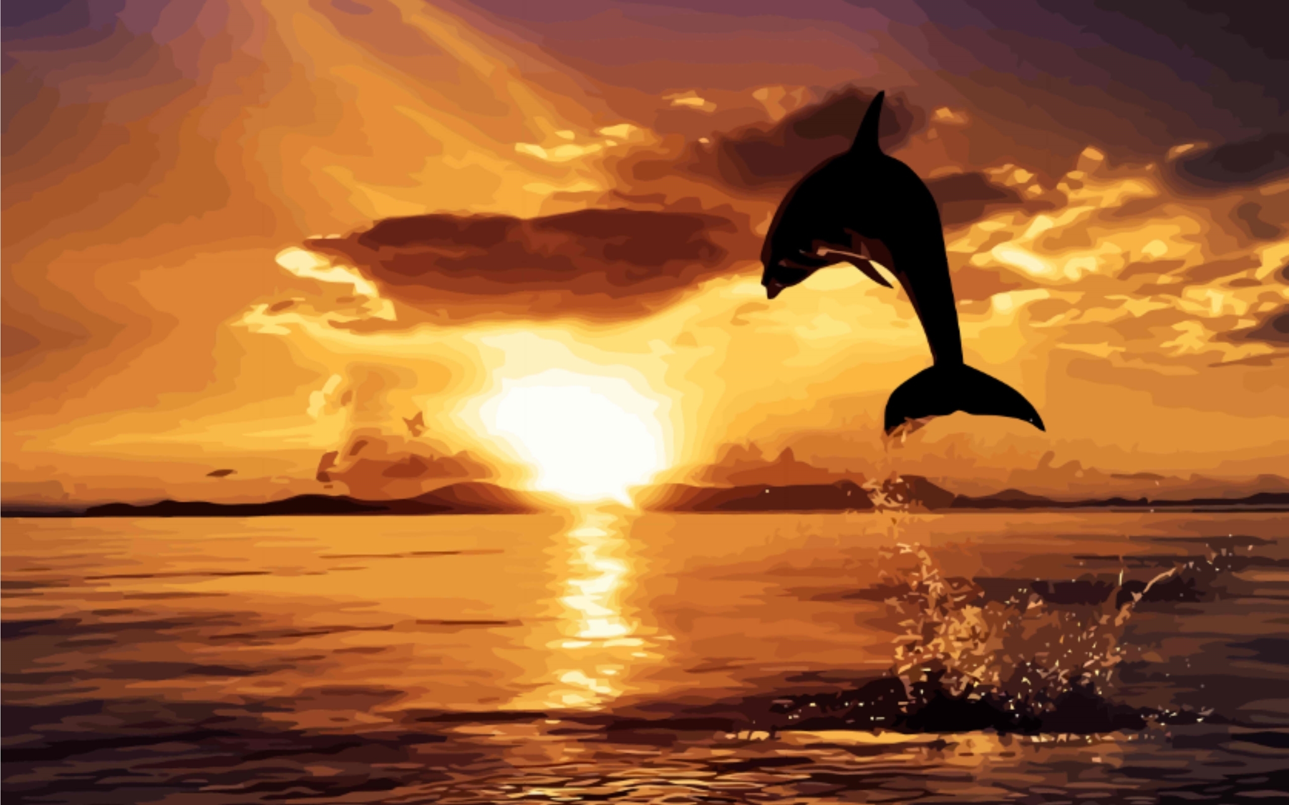 Dolphin Jumping Sunset Hd Wallpaper Wallpapers Nature Wallpapers :  