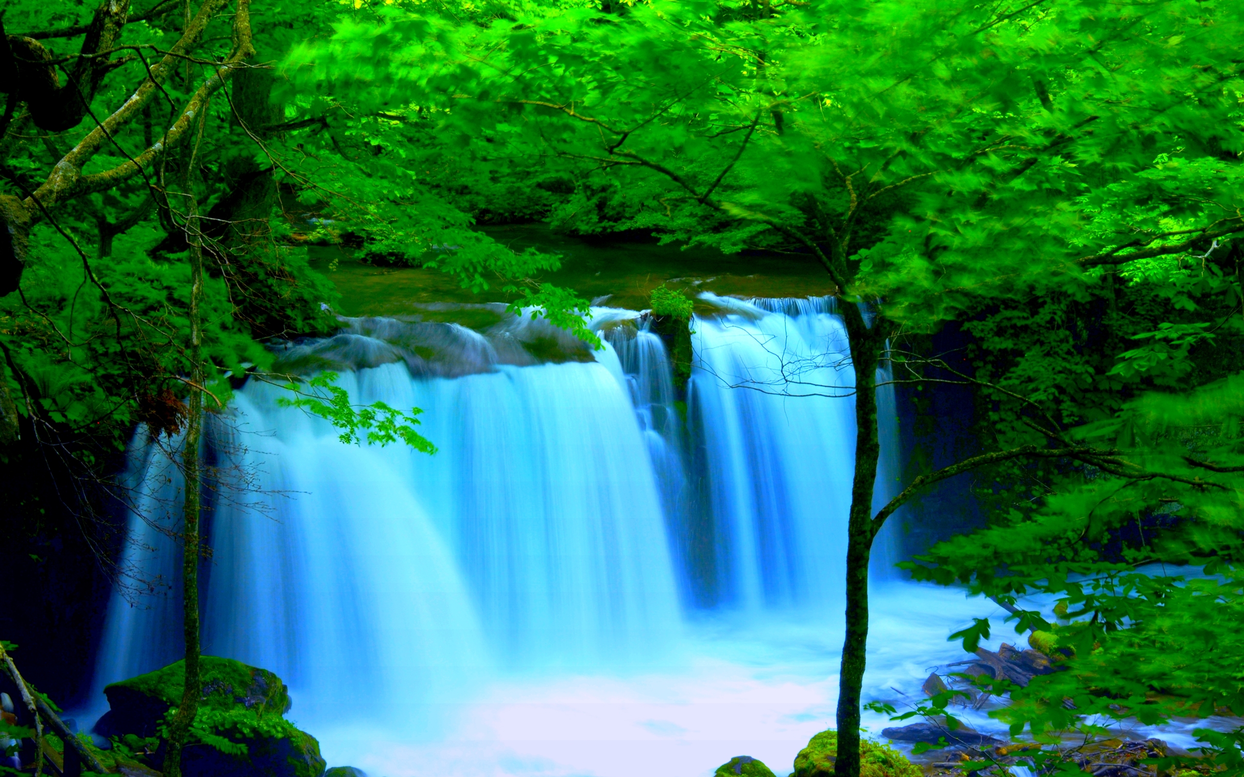 Forest River Falls Desktop Background Wallpaper 2560x1600 Wallpapers13 Com