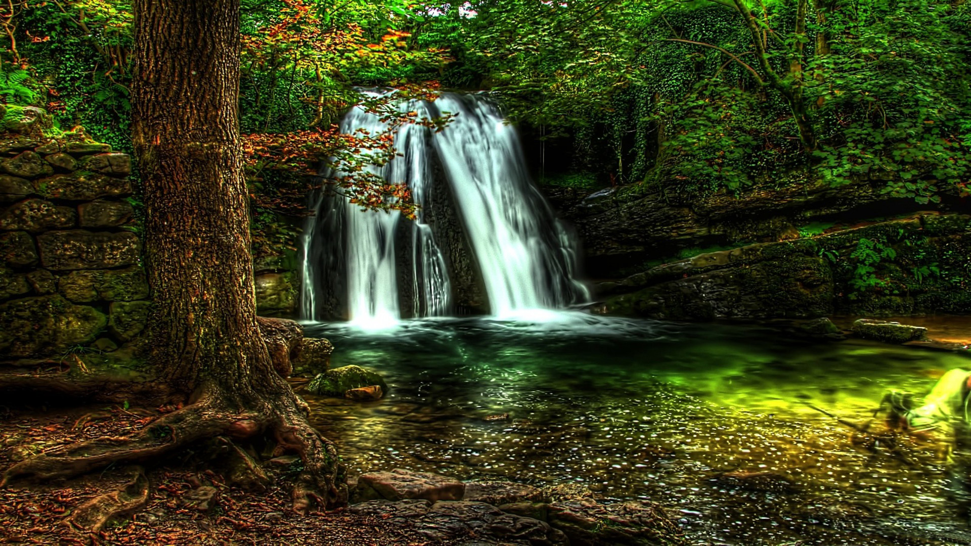 Forest Waterfall Wallpaper Full HD for