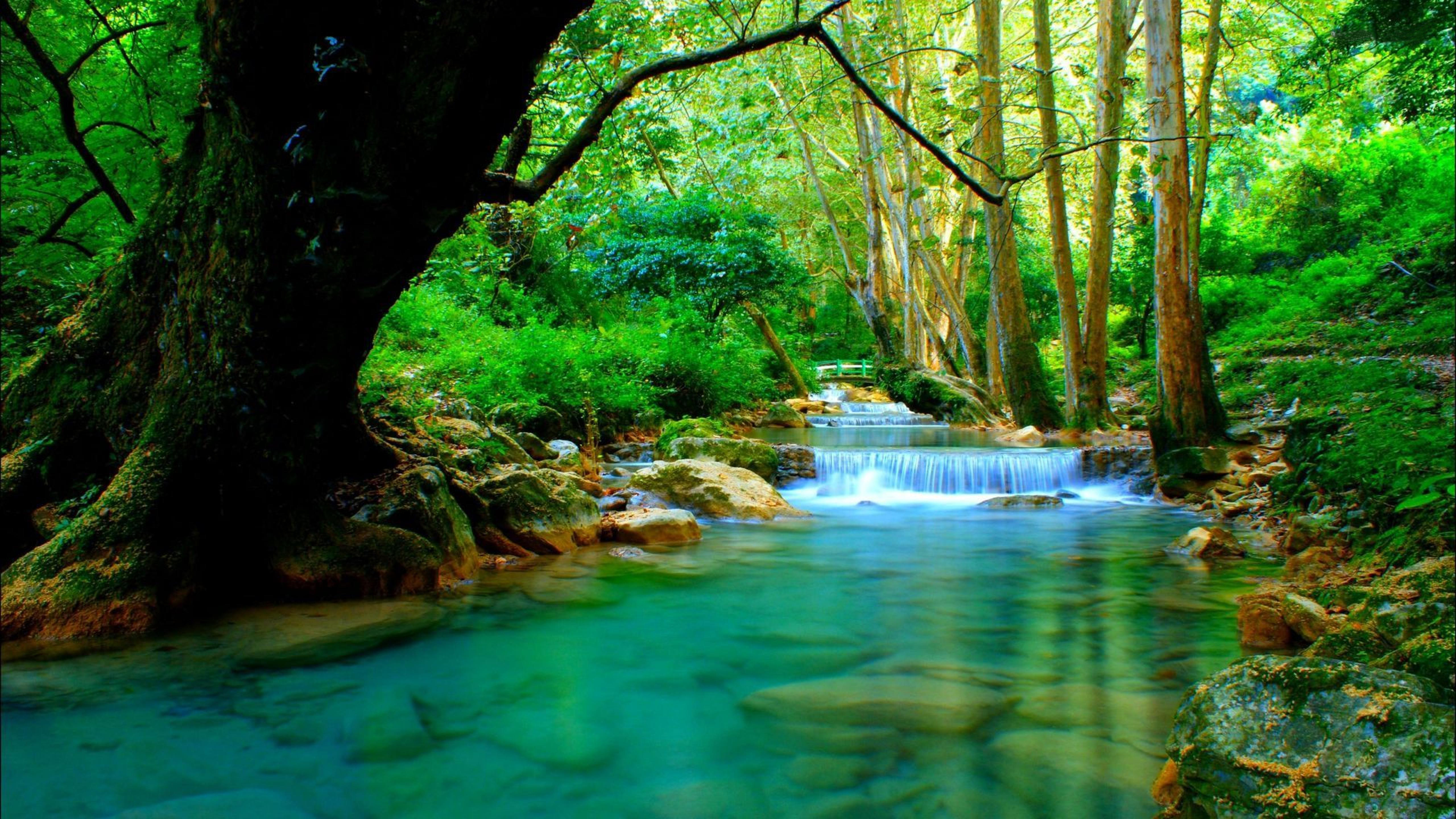 Forest river with cascades turquoise water rocks-trees Desktop Wallpaper HD  for mobile phones and laptops 5120x2880 : 