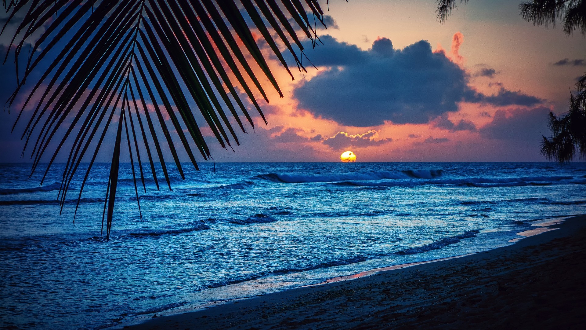 Hawaii Sunset Night Beach Waves Picture HD Wallpaper Desktop :  
