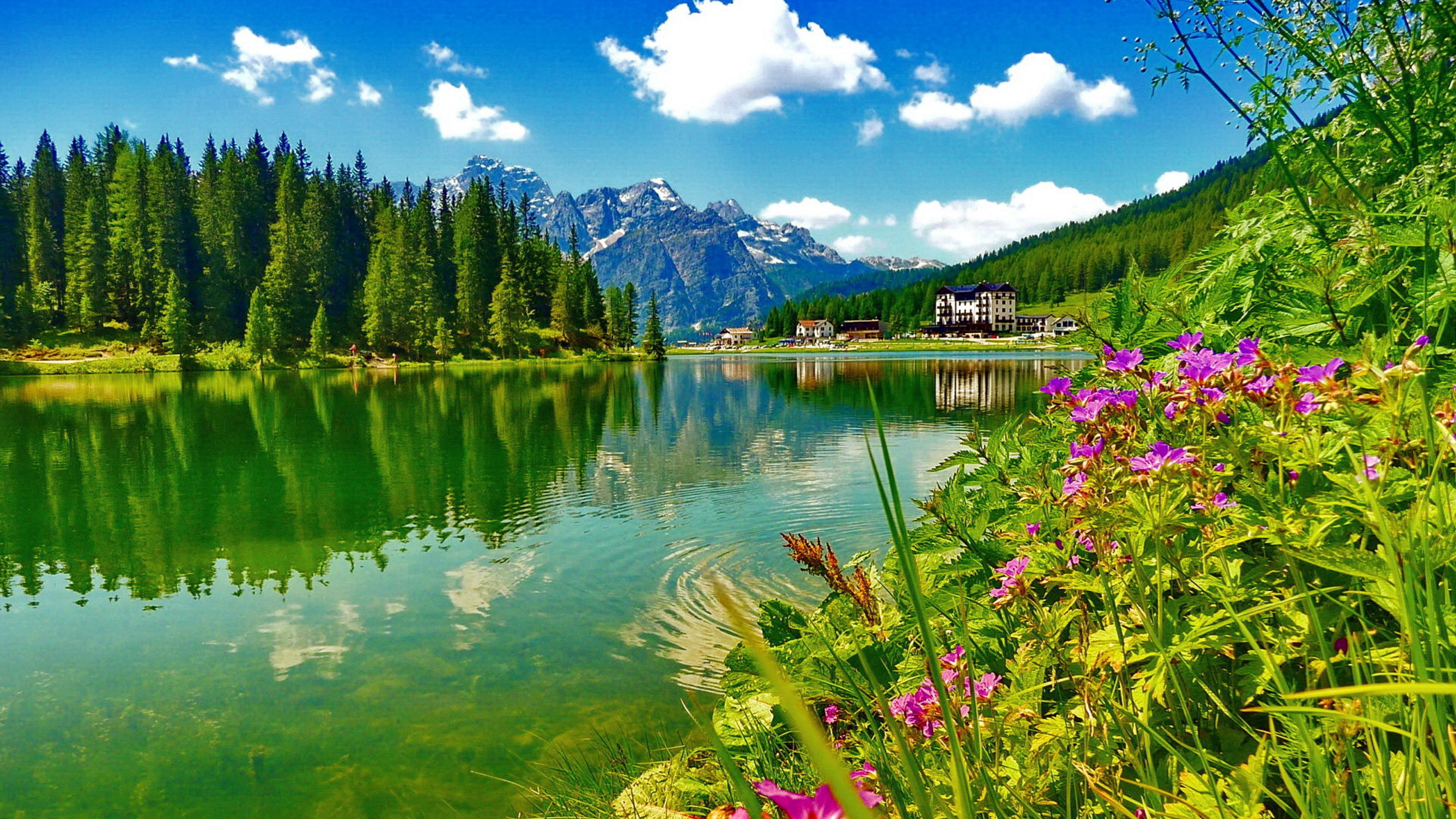 Природна краса. Прекрасная природа. Красота природы. Лето природа. Лето озеро.
