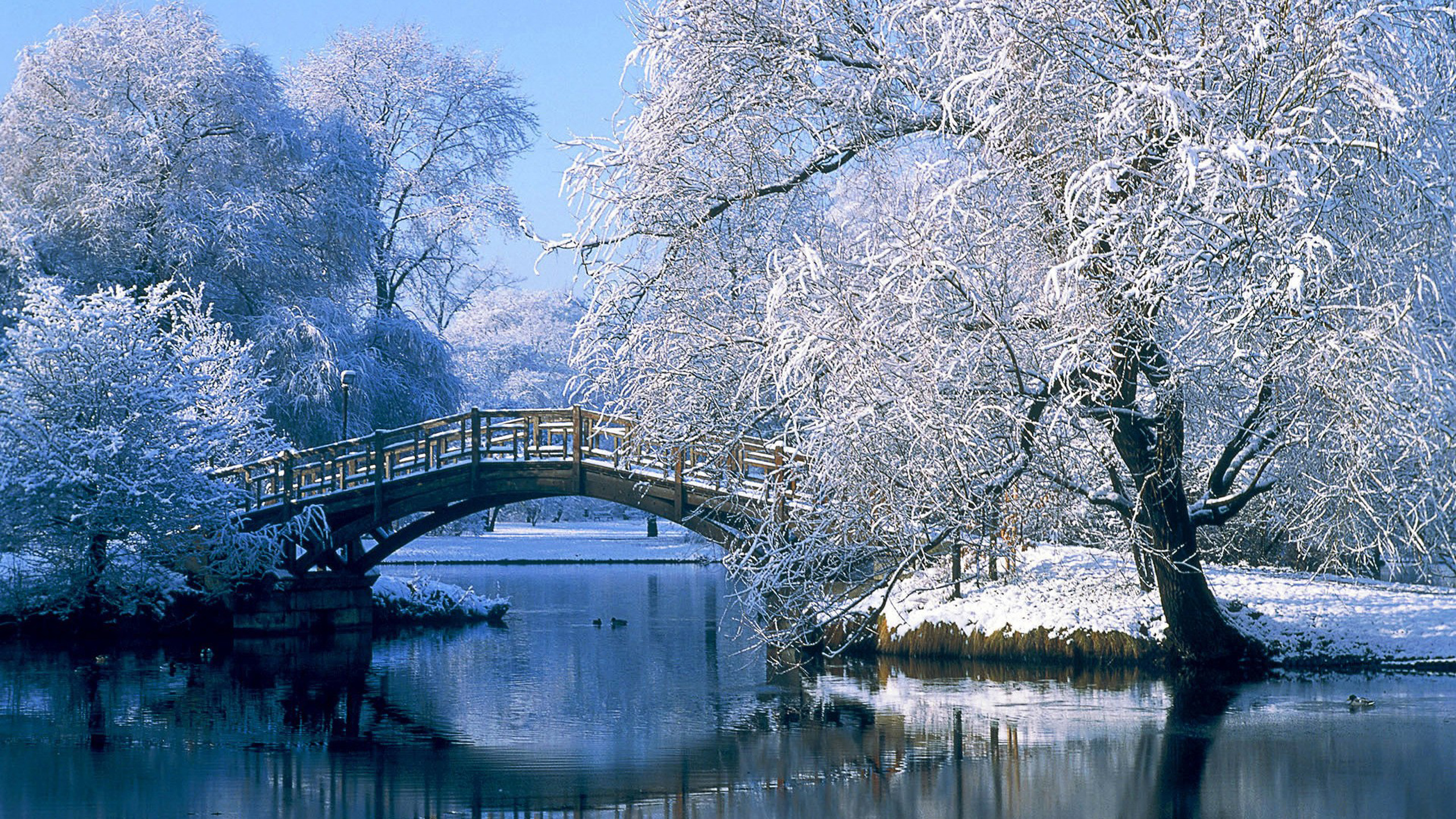 Landscapes Nature Winter Snow Bridges Desktop Hd Wallpaper 7869