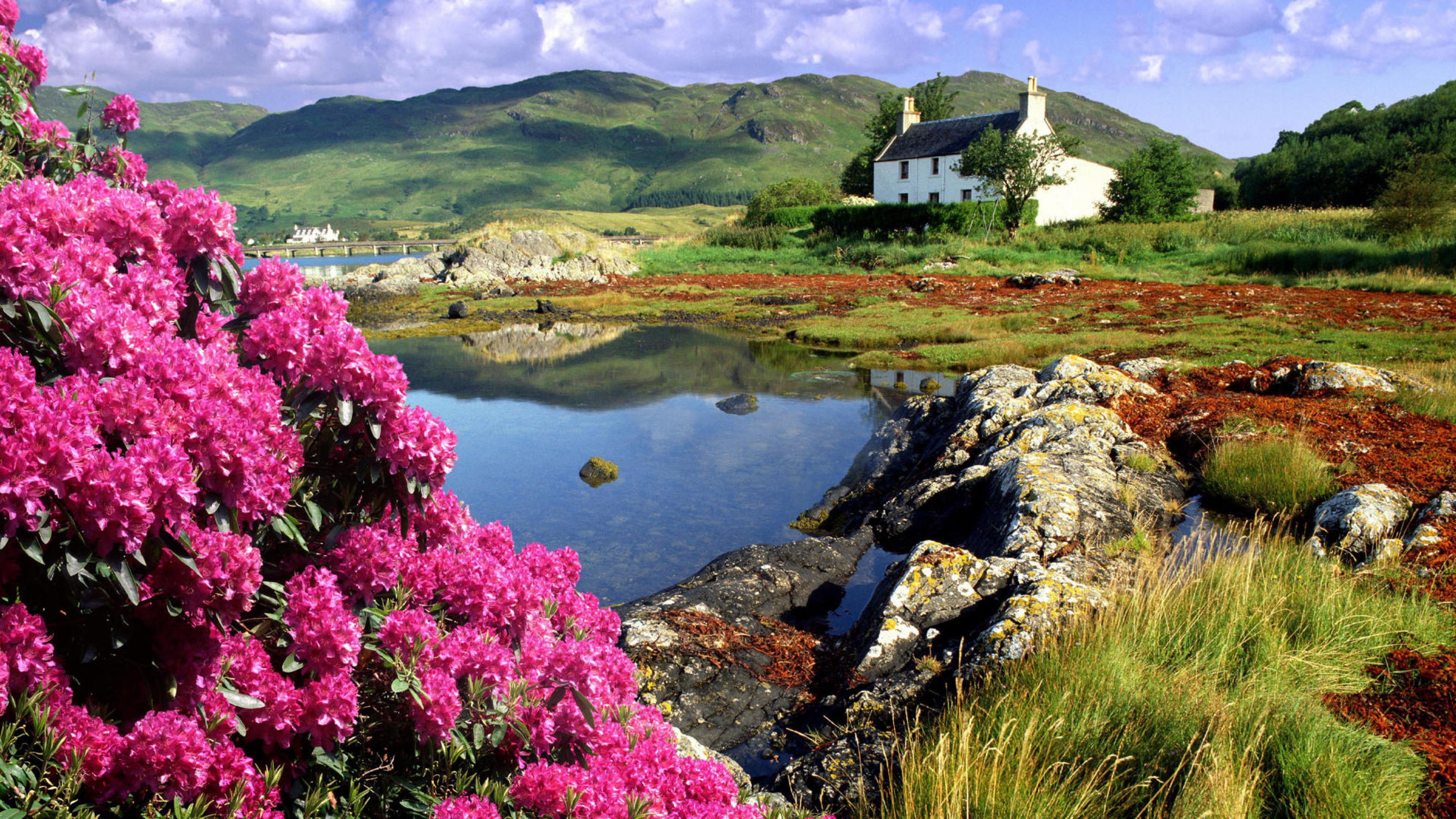 Найти картинку природу. Шотландия табиати. Альпийские Луга новая Зеландия. Деревня ласс Шотландия. Нью Скотланд природа.