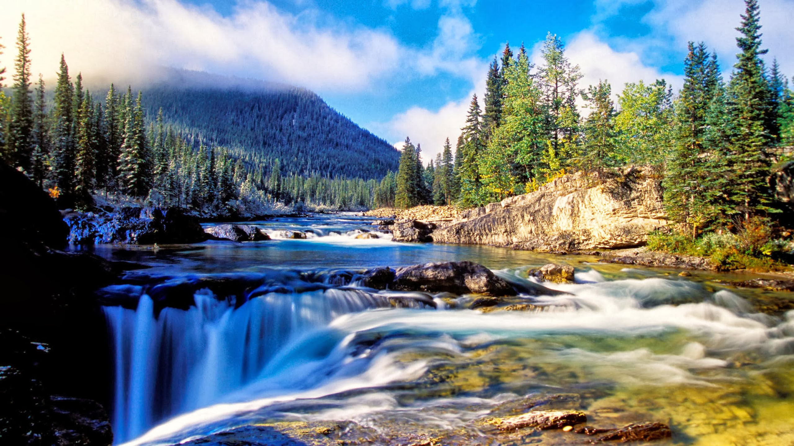 Nature Mountain Dense Spruce Forest, River Rock Waterfall Background :  