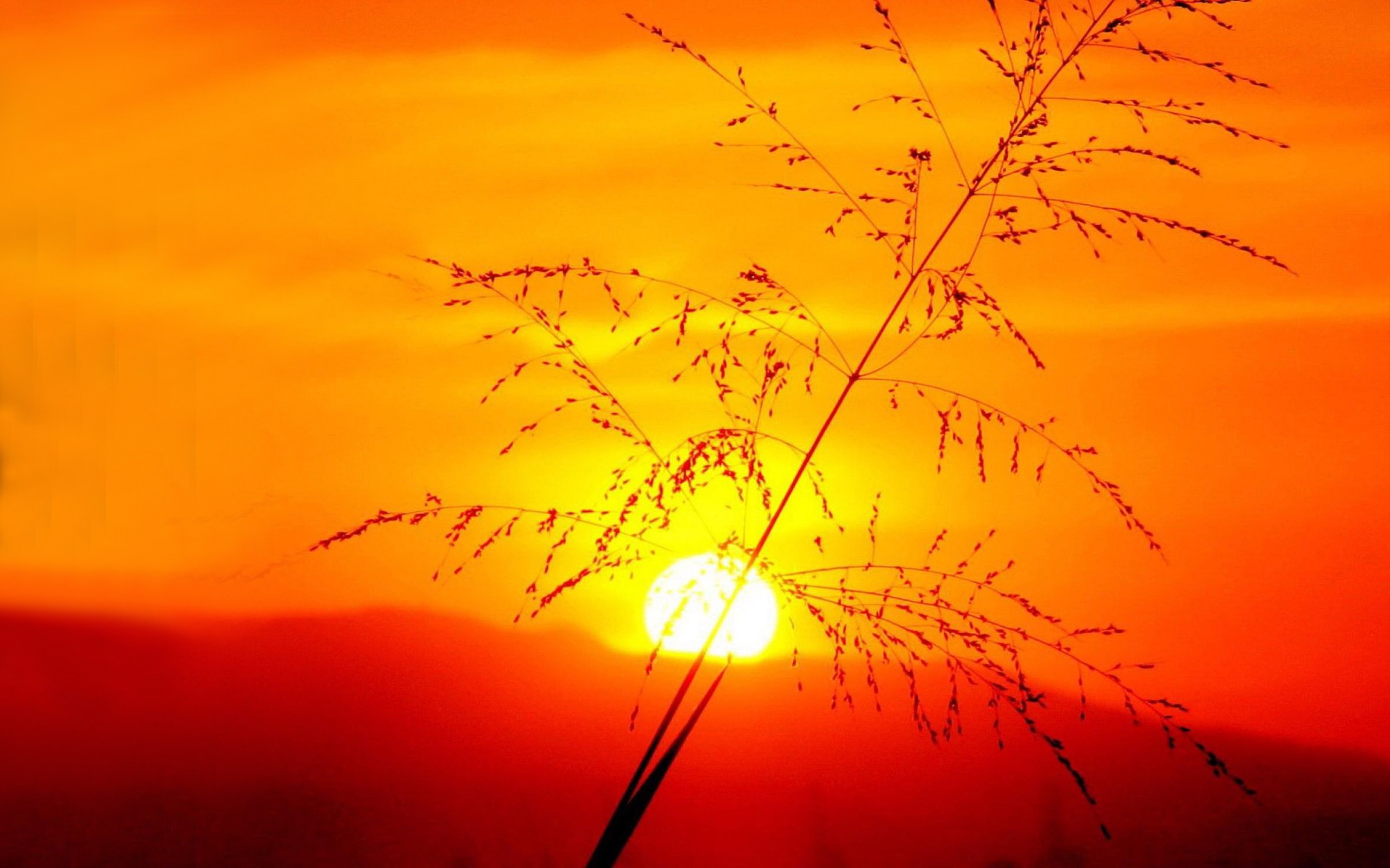 Оранжевый луч света. Рассвет солнца. Закат солнца. Природа закат. Осень солнце.