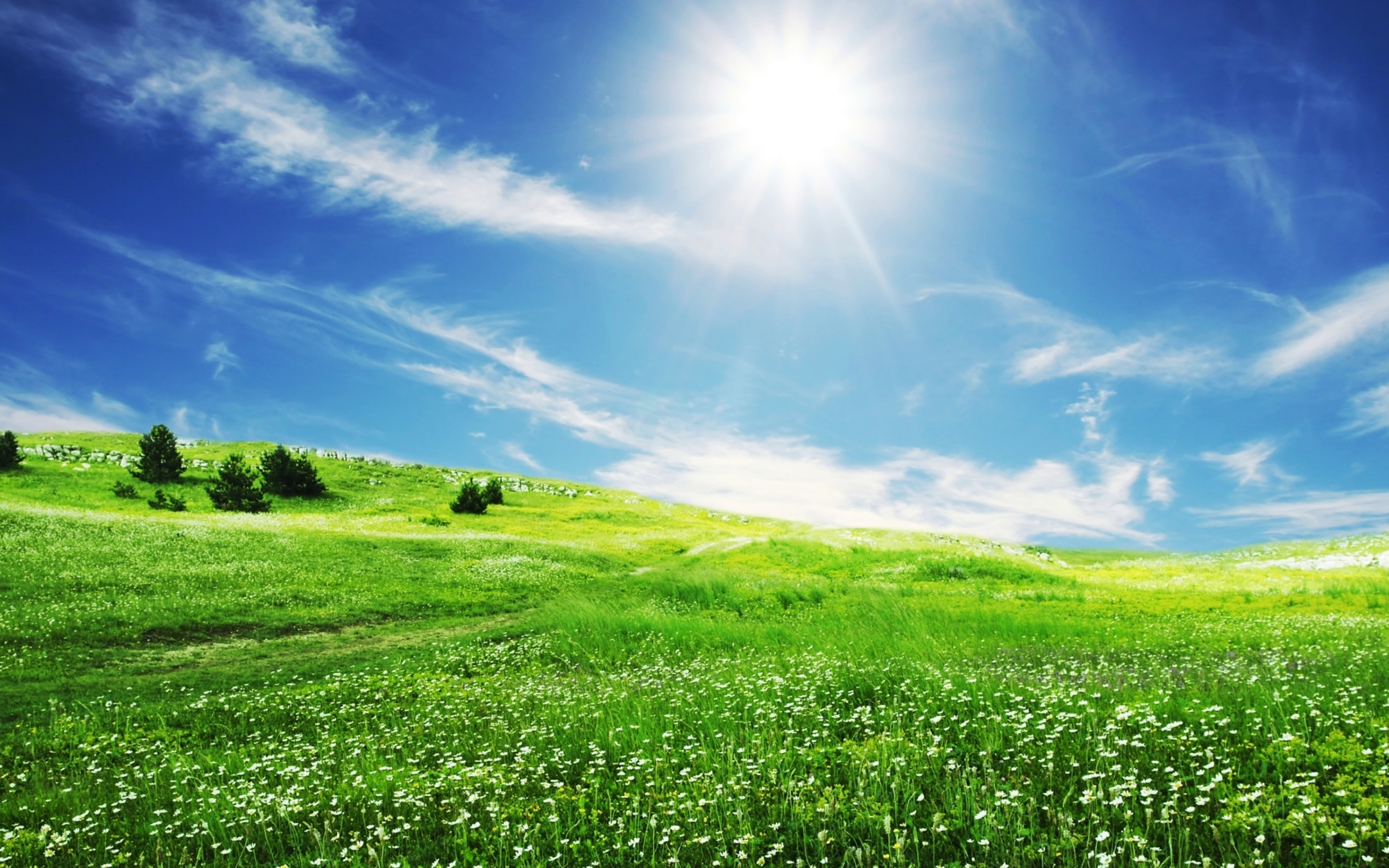 The Smile Of Sun Over The Beautiful Nature Hd Wallpaper 5120x3200 :  