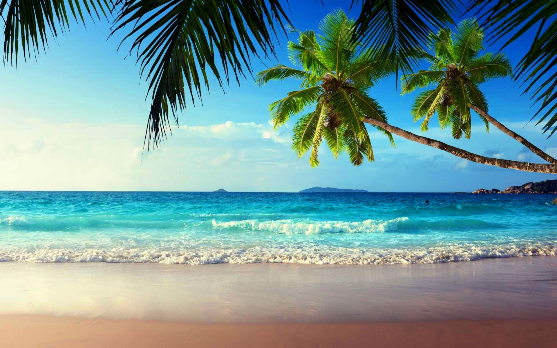 Bãi biển nhiệt đới với cây cọ và đại dương: Hòa mình vào không khí của Hawaii và truyền tải khoảnh khắc kỳ thú với bãi biển nhiệt đới với cây cọ và đại dương. Cảm nhận vẻ đẹp của thành phố du lịch và thư giãn trong không gian bãi biển đầy nắng và màu sắc. Hãy để những cây cọ vuốt ve gió,hòa quyện với bầu trời xanh thật tươi sáng để mang lại những kỷ niệm đáng nhớ.