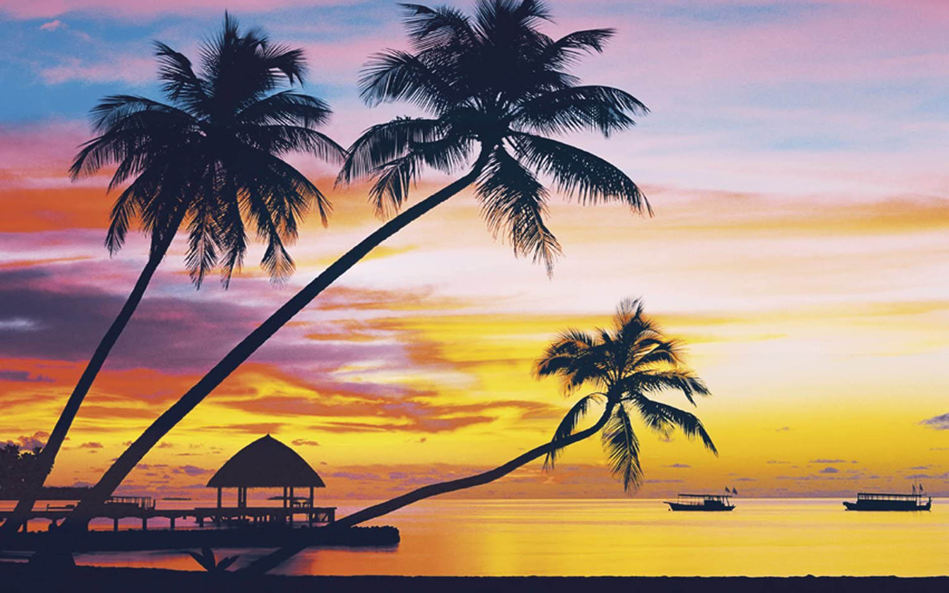 Tropical Sunset Beach Palm Trees Photo Wallpapers Hd : 