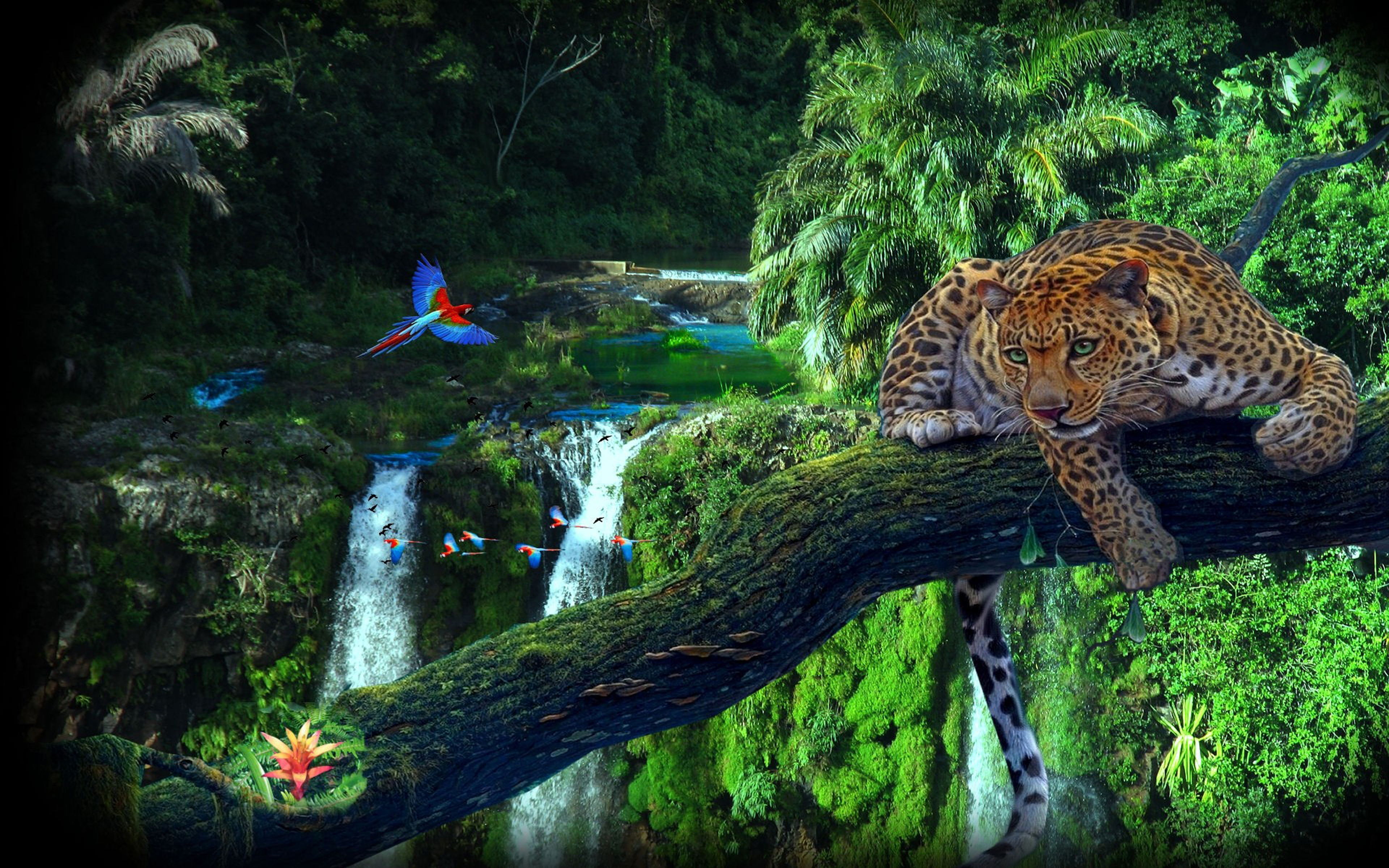 Amazon Jungle Tree Leopard Parrots Wallpaper Hd 3840x2400
