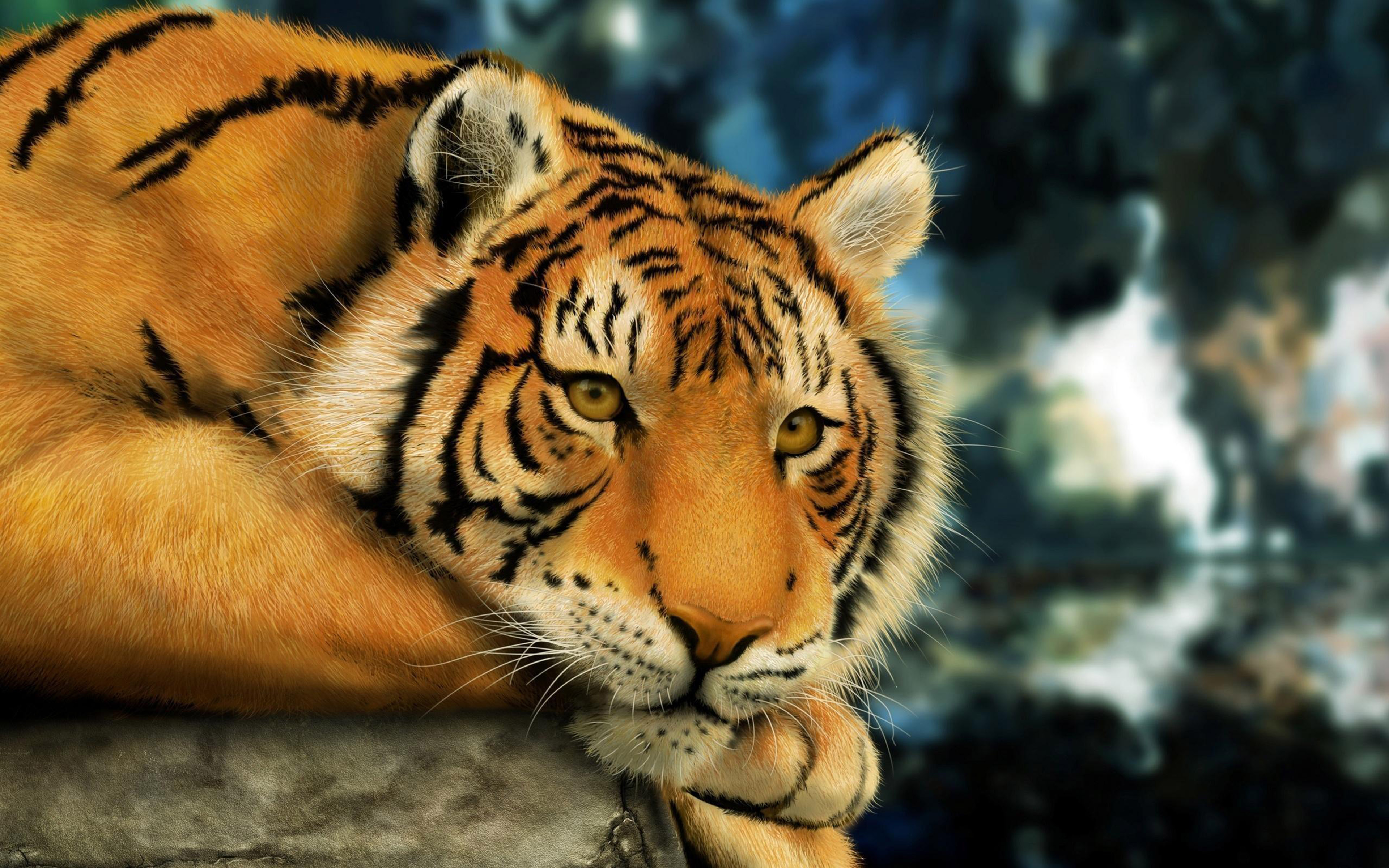 3d Wallpaper Download Tiger Image Num 56