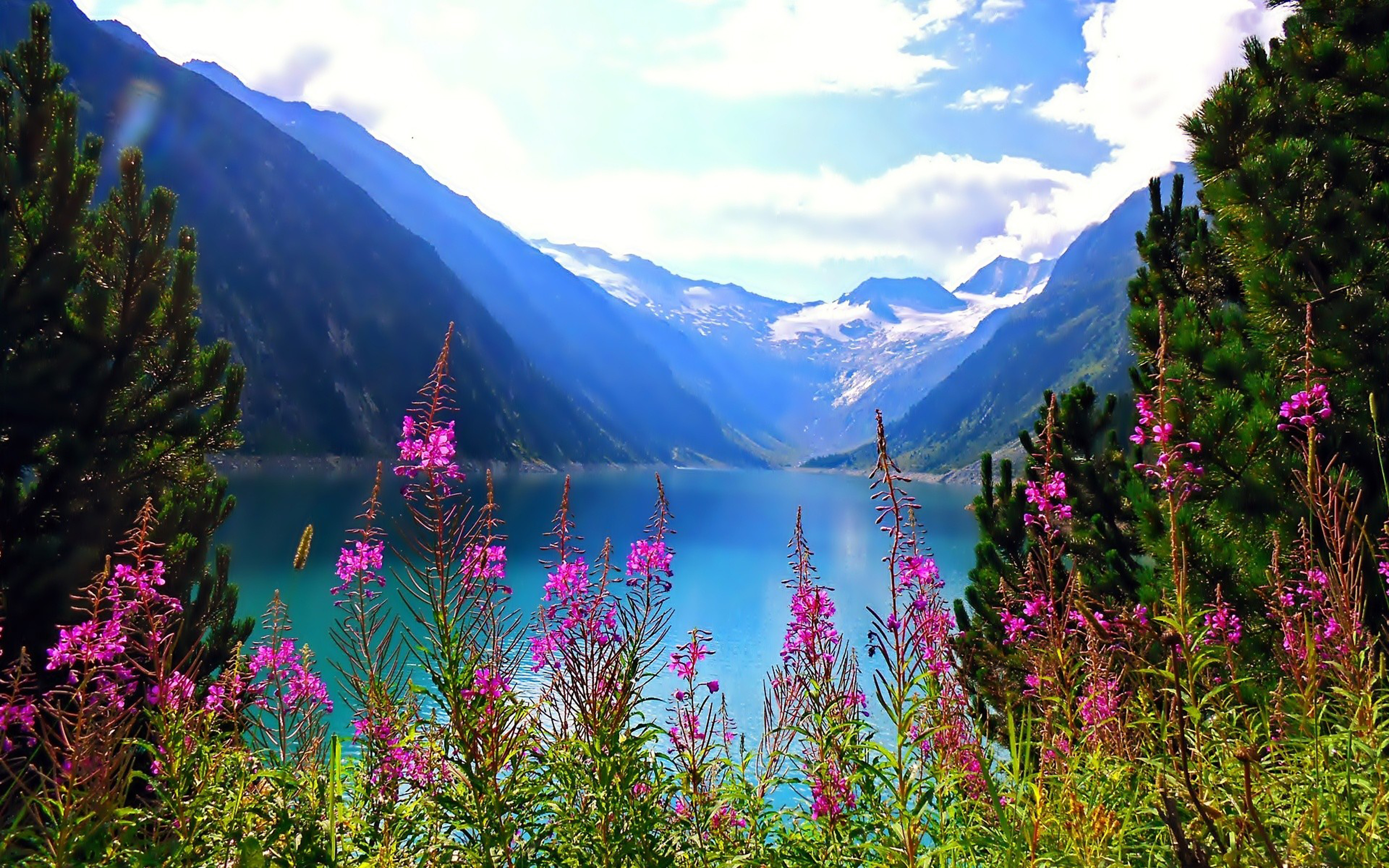 Beautiful Nature Mountain Lake Flowers Free Hd Wallpaper : 