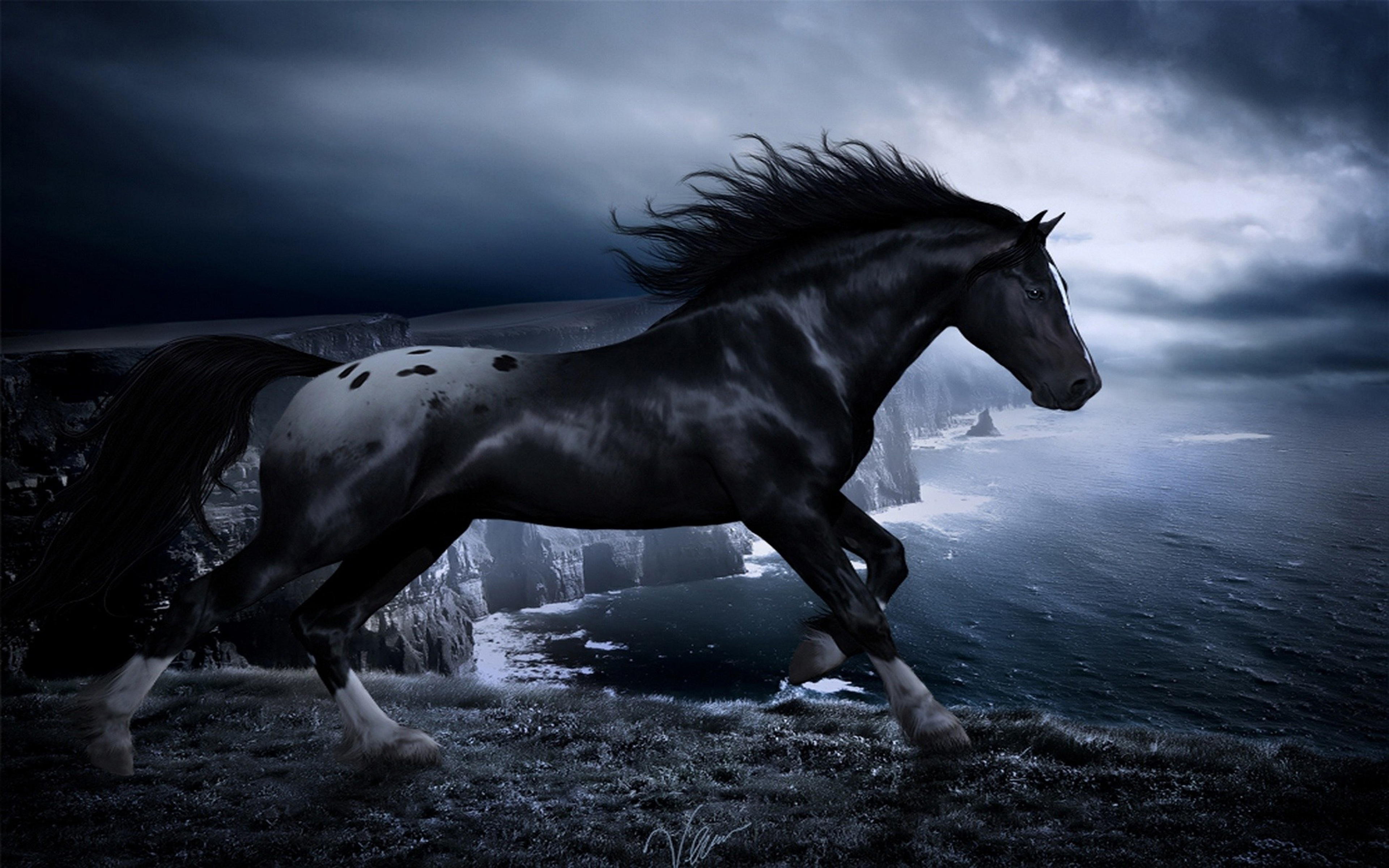 Картинки лошадей на заставку. Вороной Мустанг иноходец. Черный конь. Красивые лошади. Красивый черный конь.