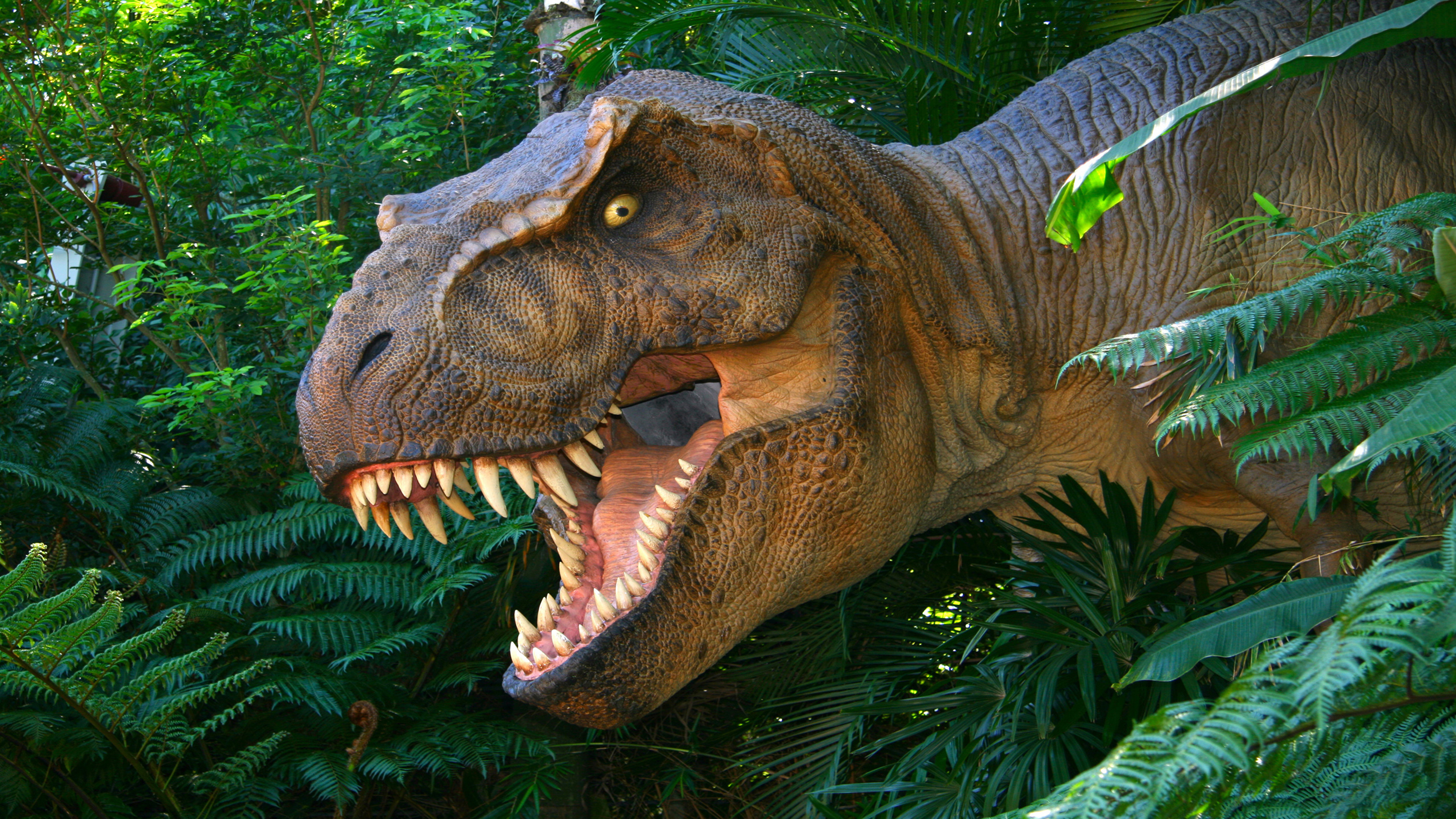 Dinosaurs Tyrannosaurus Rex Lost World Of Animals From The Past Hd Wallpaper