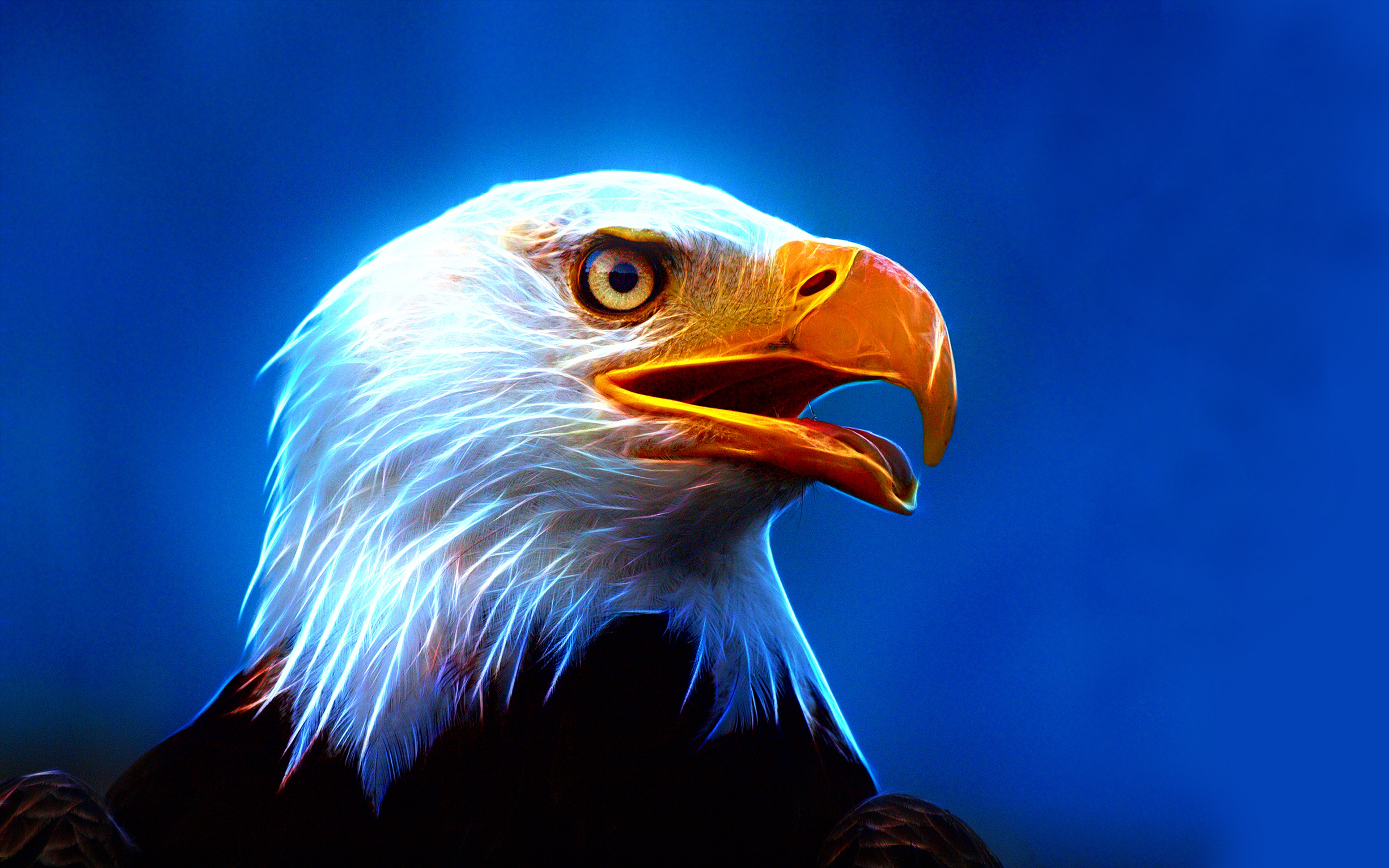 Golden Eagle Portrait against a black background - Rowlingend