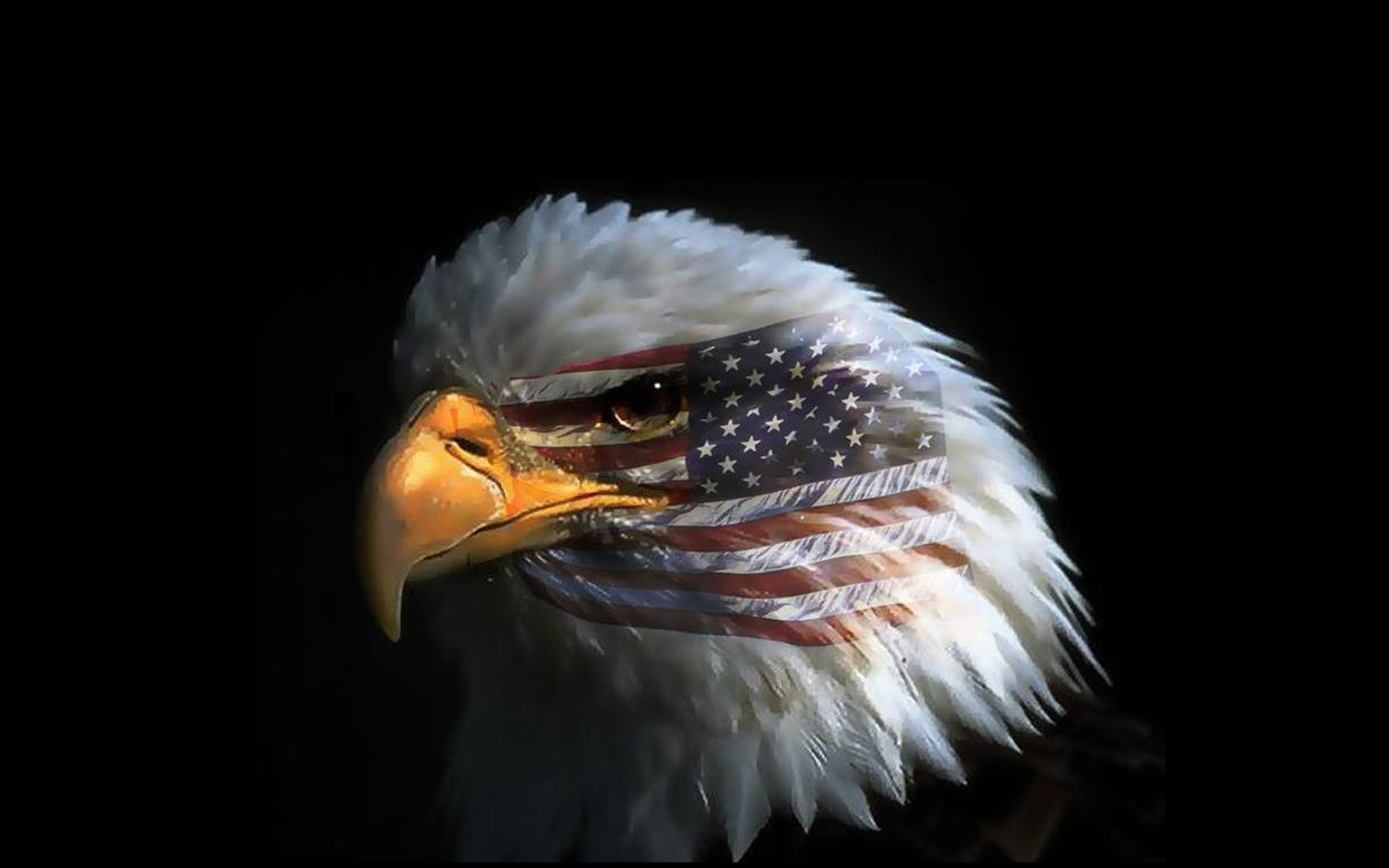 Звук орла америка. Символ Америки белоголовый Орлан. Американский Орел. Американский Орел голова. Птица символ Америки.