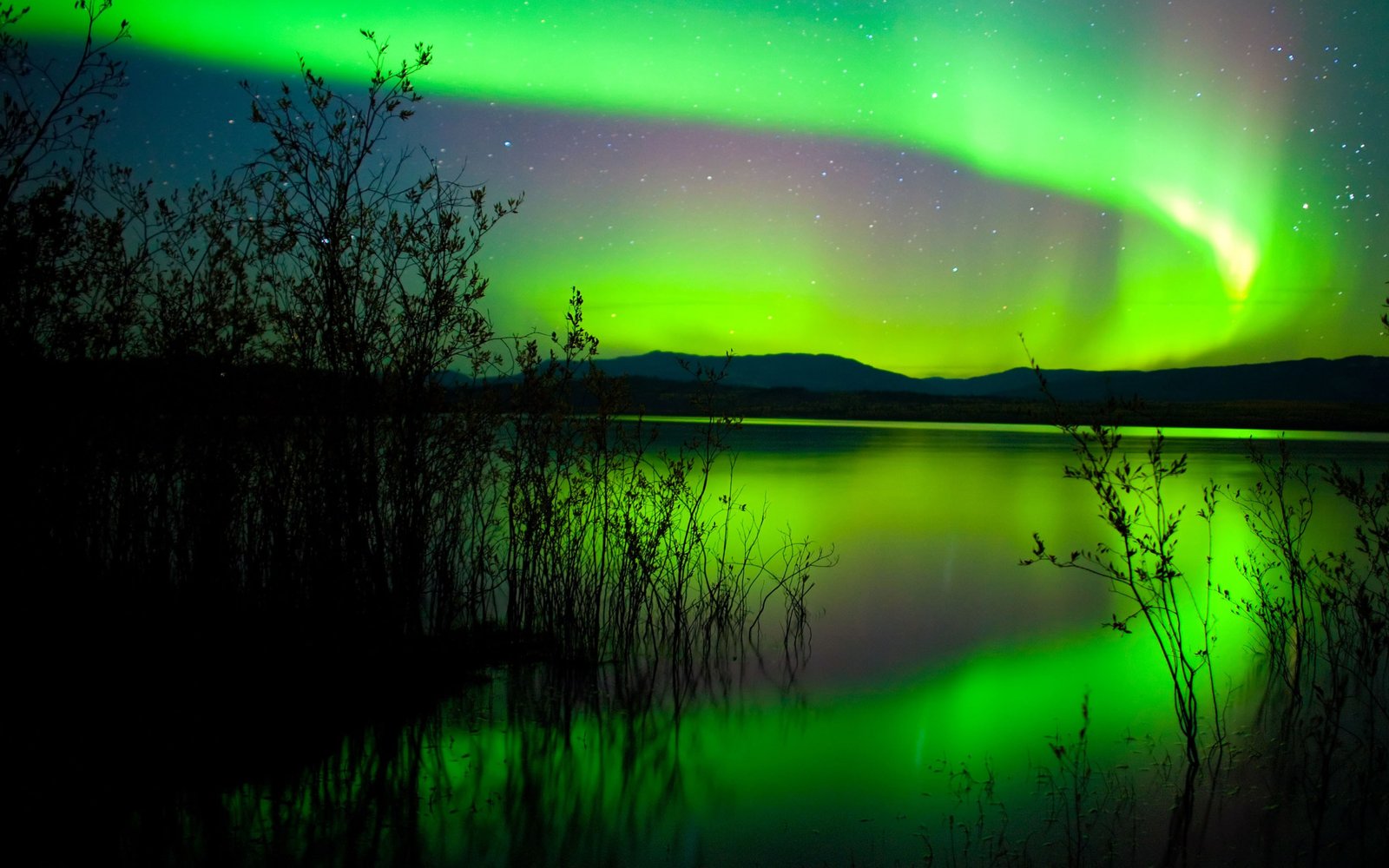 Green Northern Lights Canada Hd Wallpaper 1800x2880  