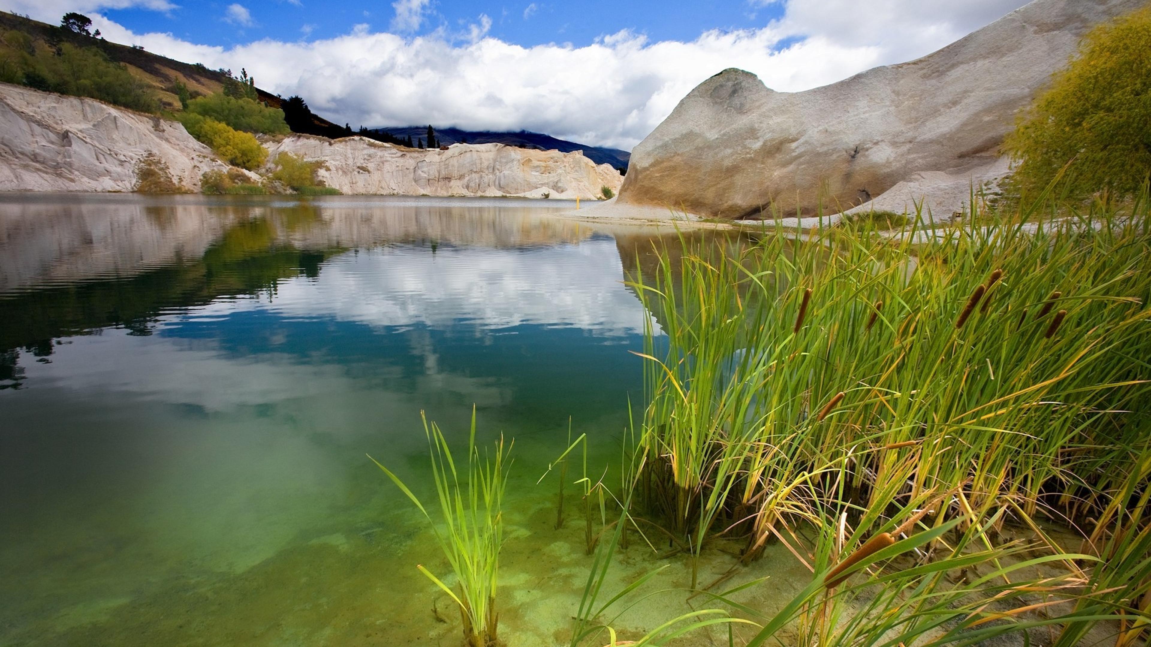 Видео реках и озерах. Голубое озеро новая Зеландия. Камышовое озеро. Берег озера. Природа озеро.